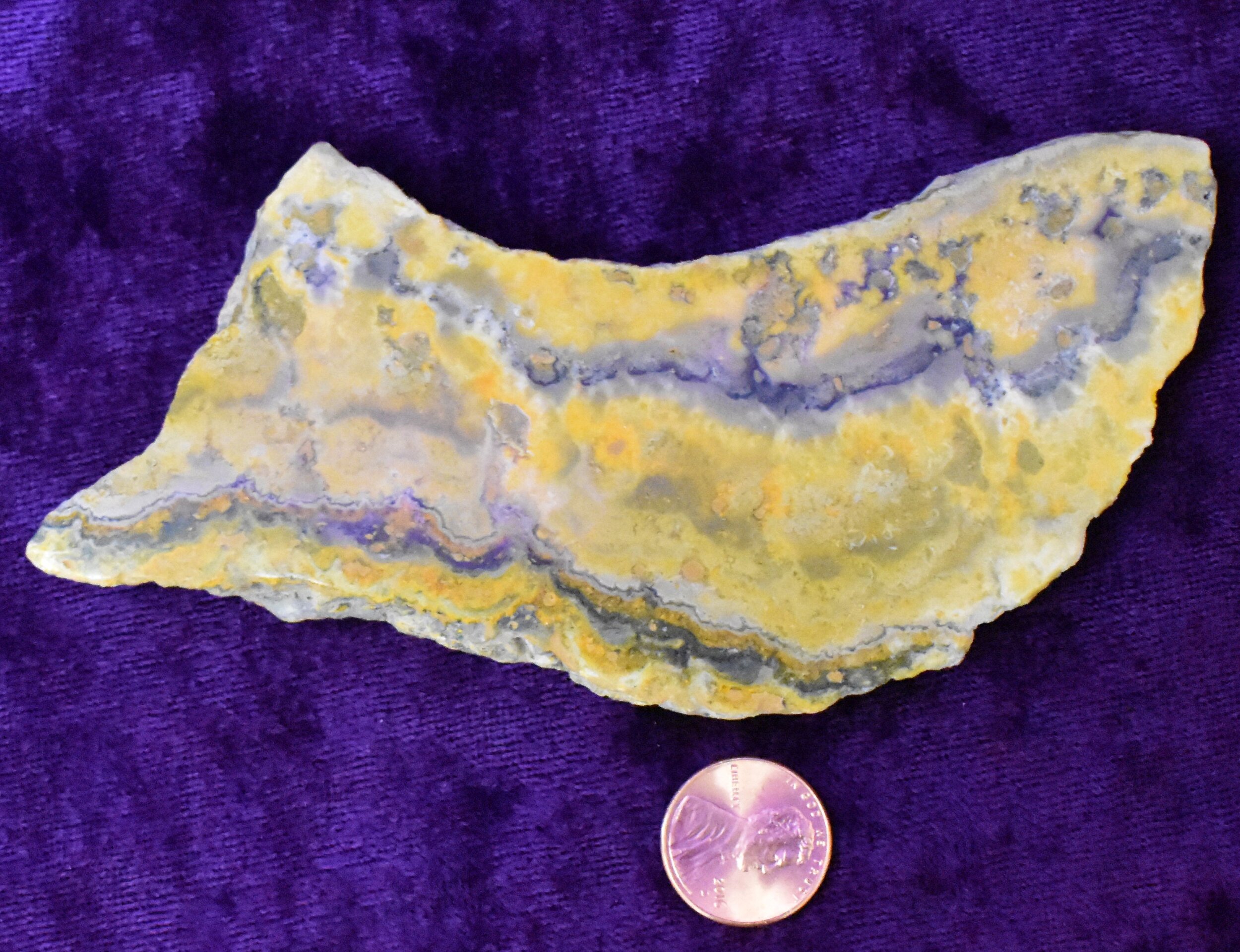 Bumblebee_Jasper_slab4.5x2.JPG