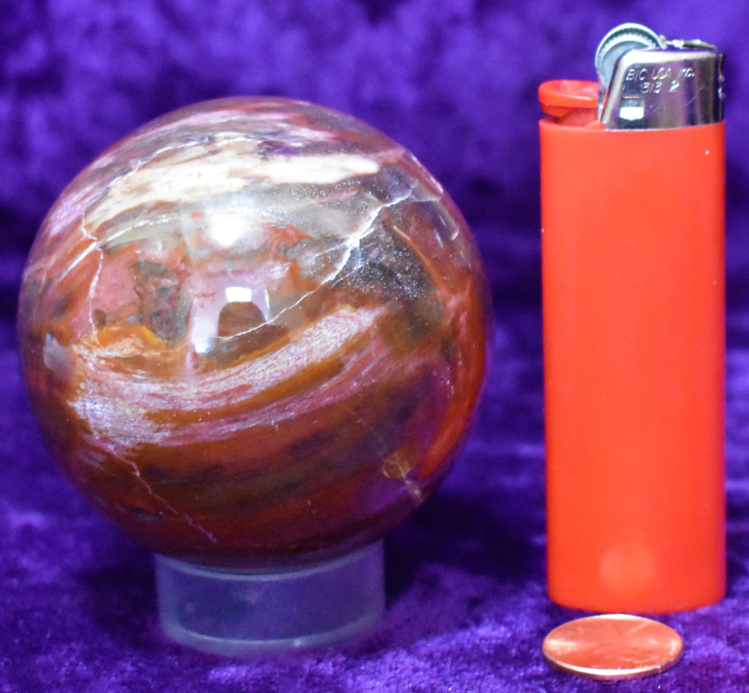 petrified_wood_sphere_64mm.JPG