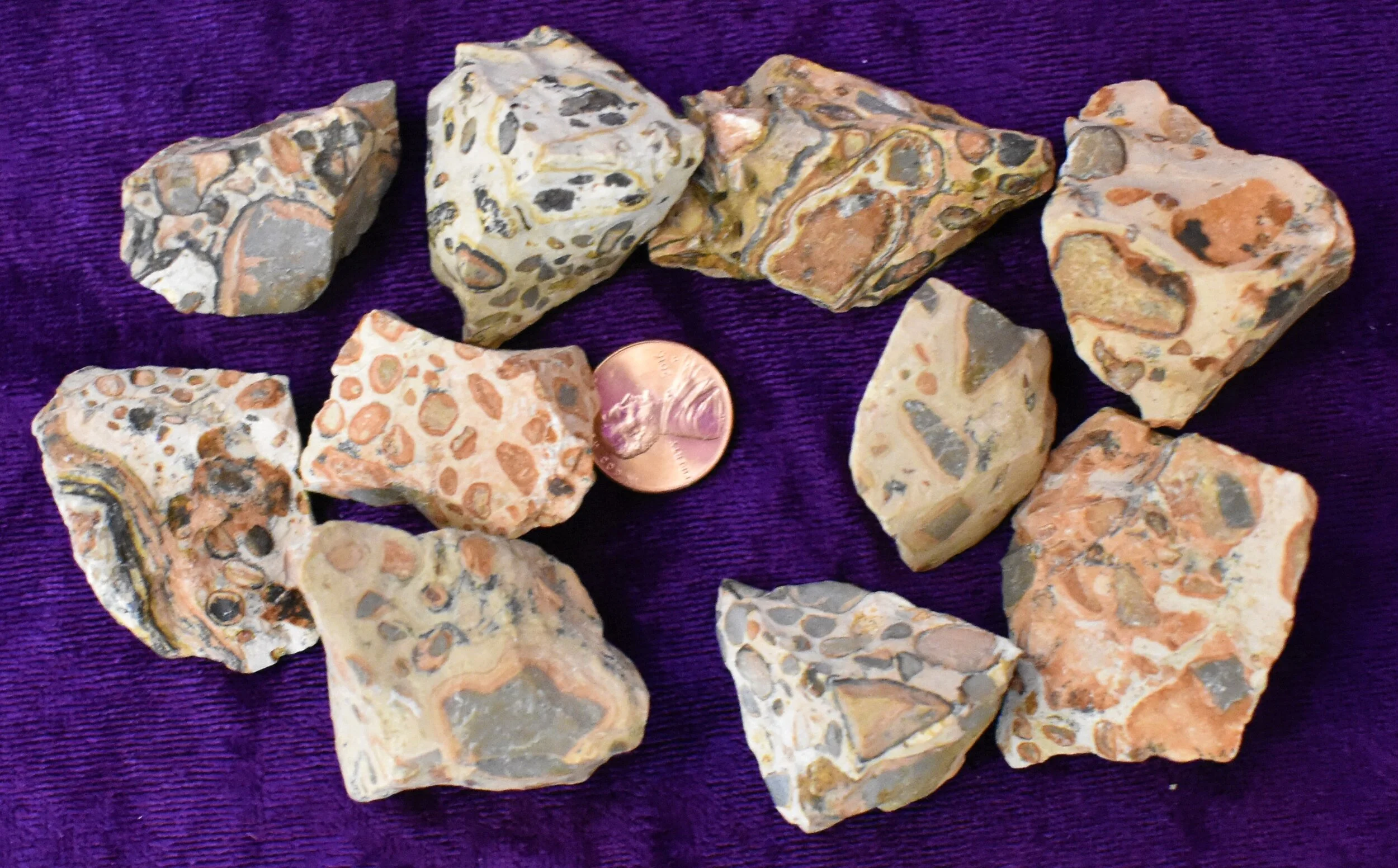 leopardite_jasper_raw.JPG
