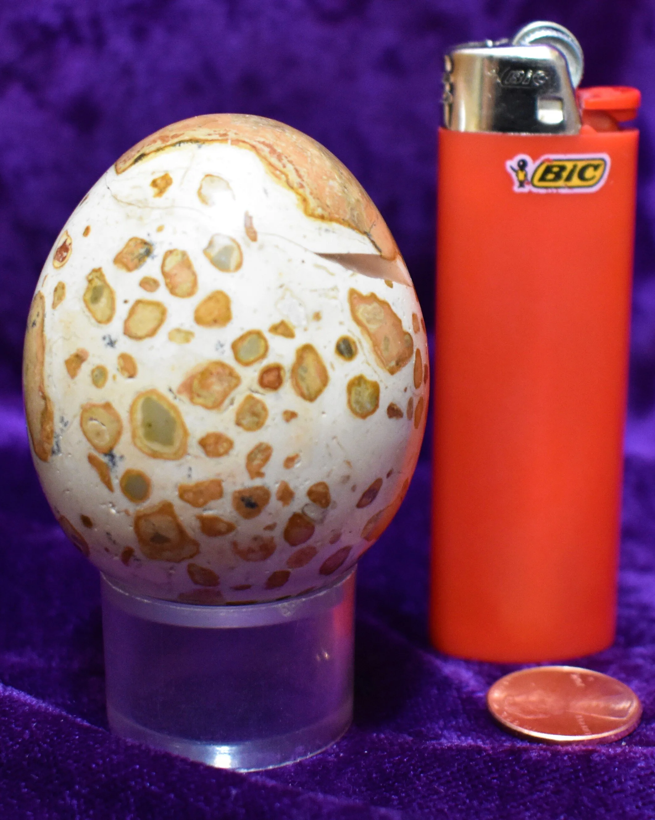 leopardite_jasper_egg2.5.JPG
