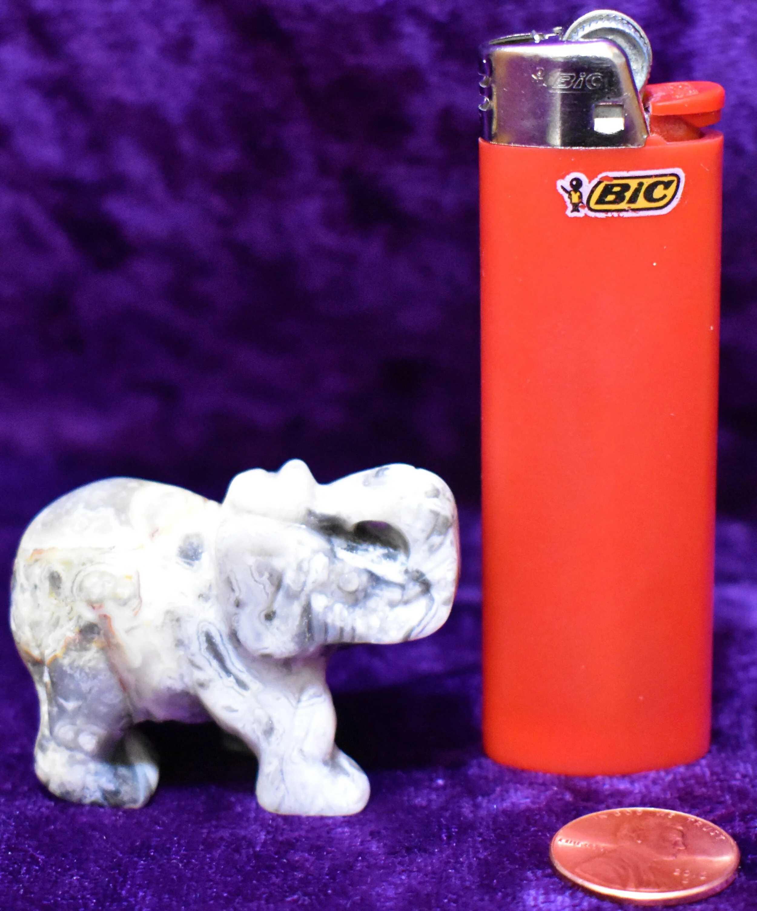 Crazy_Lace_Agate_elephant_2.JPG
