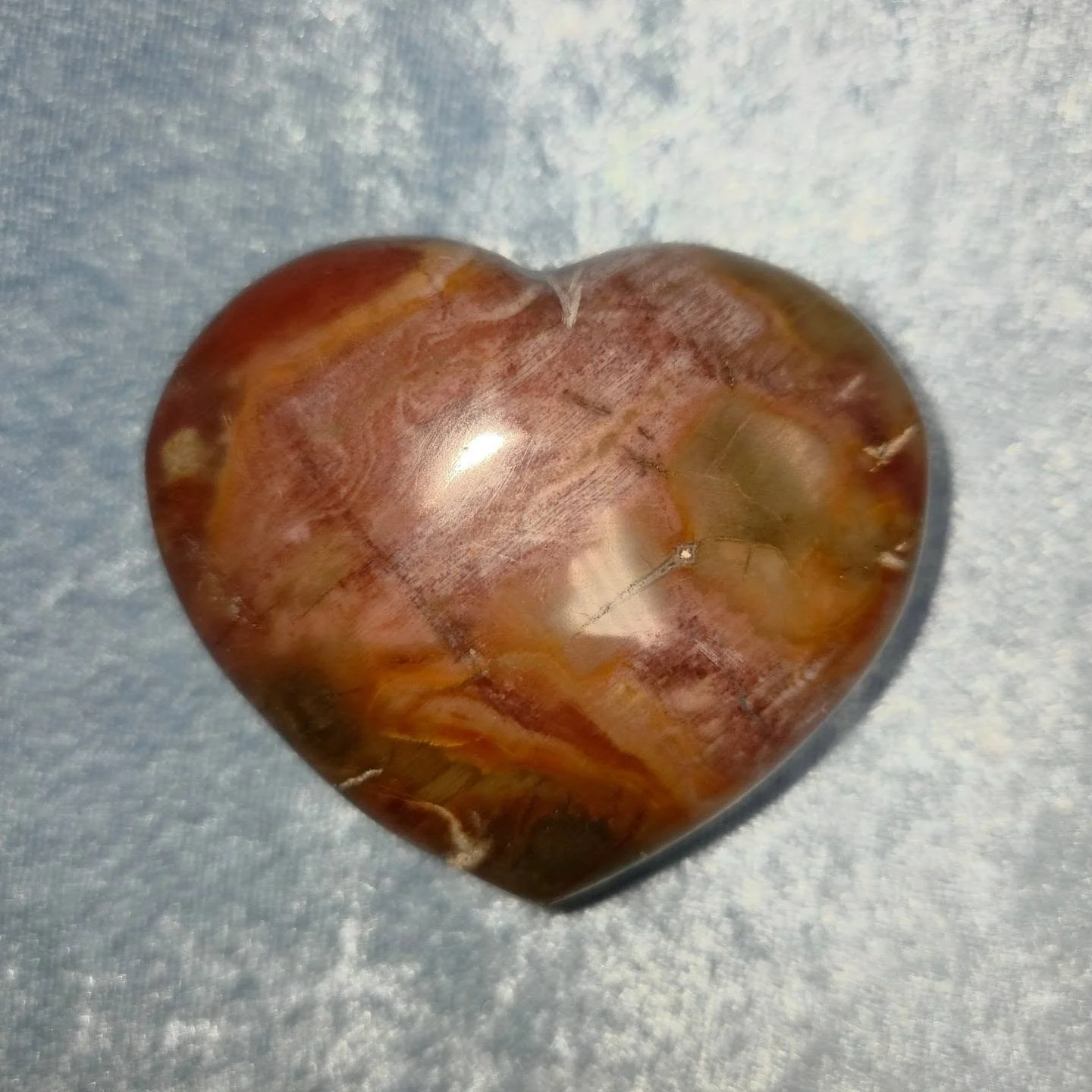 🪵𝐏𝐄𝐓𝐑𝐈𝐅𝐈𝐄𝐃 𝐖𝐎𝐎𝐃 𝐇𝐄𝐀𝐑𝐓🪵--$3️⃣0️⃣

𝗣𝗲𝘁𝗿𝗶𝗳𝗶𝗲𝗱 𝗪𝗼𝗼𝗱 is a well rooted grounding stone as well as a very useful tool for past life recall, having a solid connection to nature and ancient wisdom. 🌳 Being a strong promoter o