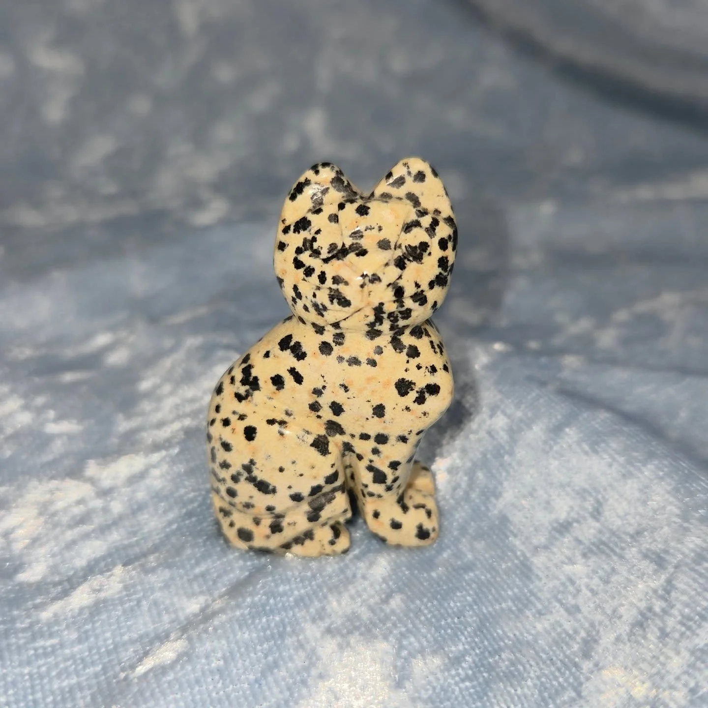 🐾𝐃𝐀𝐋𝐌𝐀𝐓𝐈𝐀𝐍 𝐂𝐀𝐓🐾--$2️⃣0️⃣

𝗗𝗮𝗹𝗺𝗮𝘁𝗶𝗮𝗻 𝗦𝘁𝗼𝗻𝗲 (AKA Dalmatian Jasper) is a stone that can help to strengthen bonds, promote stability, and reawaken a sense of fun and humor. 🐾 This stone aids in quitting smoking, as it can hel