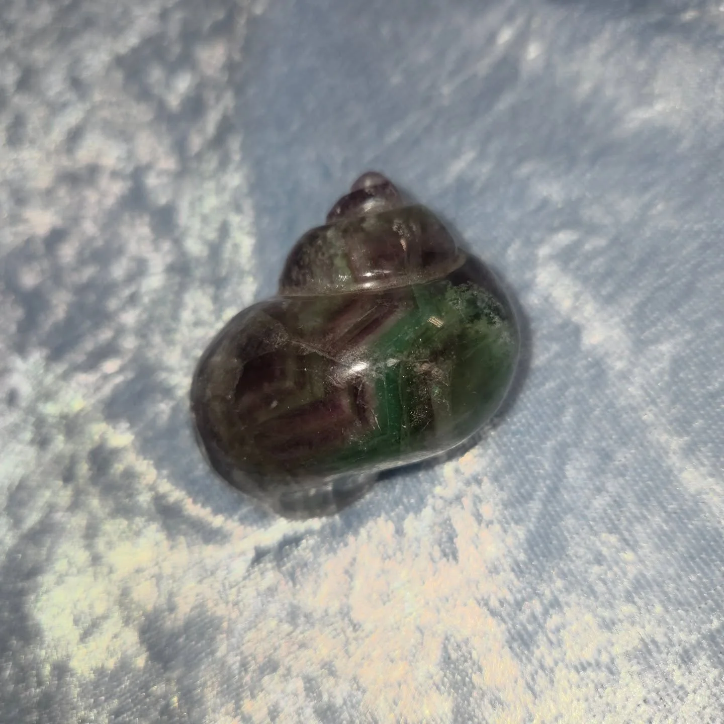 🌈𝐅𝐋𝐔𝐎𝐑𝐈𝐓𝐄 𝐒𝐇𝐄𝐋𝐋🌈--$3️⃣0️⃣

𝗙𝗹𝘂𝗼𝗿𝗶𝘁𝗲 is a great ally in clearing your energetic field of emotional debris that may be affecting your self confidence, focus or ability to absorb new information.🧠

Please message me for payment a