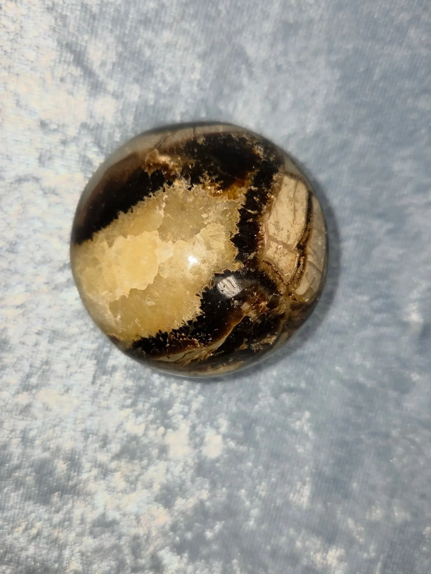 ⚡𝐒𝐄𝐏𝐓𝐀𝐑𝐈𝐀𝐍 𝐏𝐀𝐋𝐌𝐒𝐓𝐎𝐍𝐄⚡--$2️⃣0️⃣

𝗦𝗲𝗽𝘁𝗮𝗿𝗶𝗮𝗻 𝗡𝗼𝗱𝘂𝗹𝗲𝘀 are a combination of Aragonite, Calcite and Limestone.  They can be helpful with the transmutation of negative energy into strength. 💪 An effective grounding stone, 