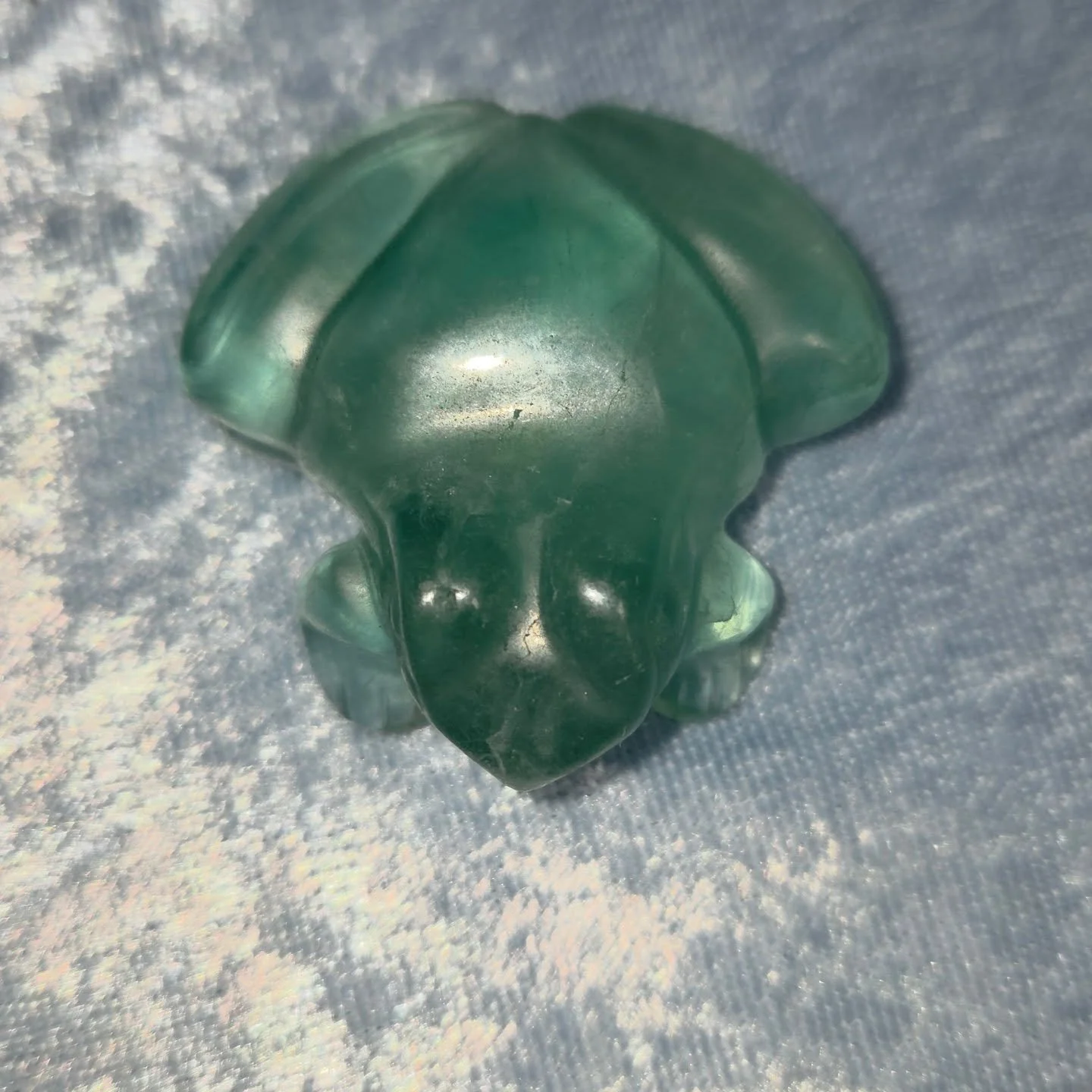 🌈𝐅𝐋𝐔𝐎𝐑𝐈𝐓𝐄 𝐅𝐑𝐎𝐆🌈--$2️⃣5️⃣
𝗙𝗹𝘂𝗼𝗿𝗶𝘁𝗲 is a great ally in clearing your energetic field of emotional debris that may be affecting your self confidence, focus or ability to absorb new information.🧠

Please message me for payment and 