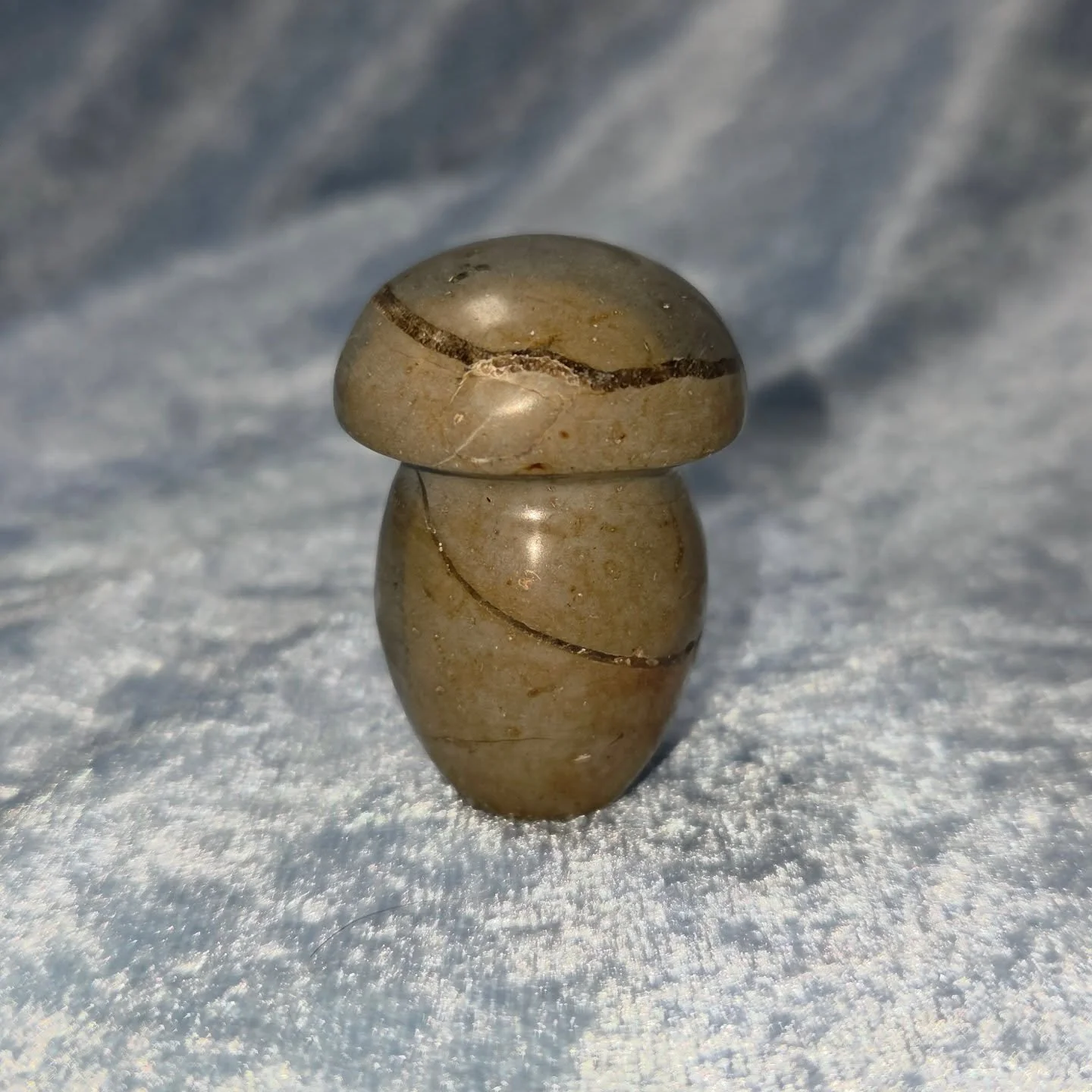 ⚡𝐒𝐄𝐏𝐓𝐀𝐑𝐈𝐀𝐍 𝐌𝐔𝐒𝐇𝐑𝐎𝐎𝐌⚡--$1️⃣5️⃣

𝗦𝗲𝗽𝘁𝗮𝗿𝗶𝗮𝗻 𝗡𝗼𝗱𝘂𝗹𝗲𝘀 are a combination of Aragonite, Calcite and Limestone.  They can be helpful with the transmutation of negative energy into strength. 💪 An effective grounding stone, it