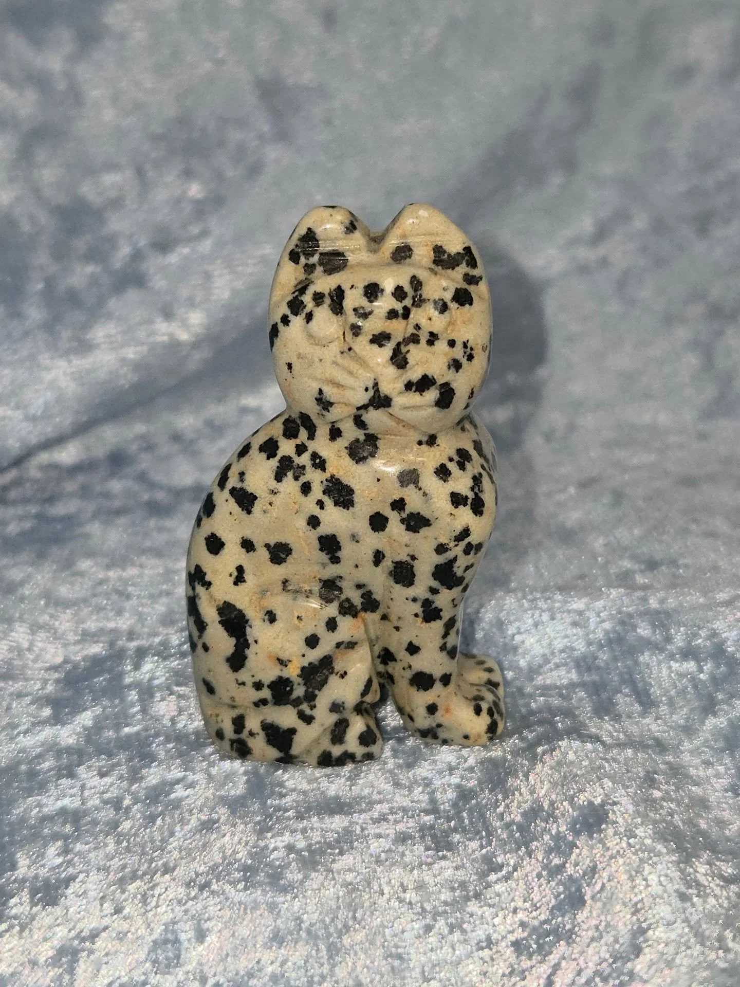 🐾𝐃𝐀𝐋𝐌𝐀𝐓𝐈𝐀𝐍 𝐂𝐀𝐓🐾--$2️⃣0️⃣
𝗗𝗮𝗹𝗺𝗮𝘁𝗶𝗮𝗻 𝗦𝘁𝗼𝗻𝗲 (AKA Dalmatian Jasper) is a stone that can help to strengthen bonds, promote stability, and reawaken a sense of fun and humor. 🐾 This stone aids in quitting smoking, as it can help