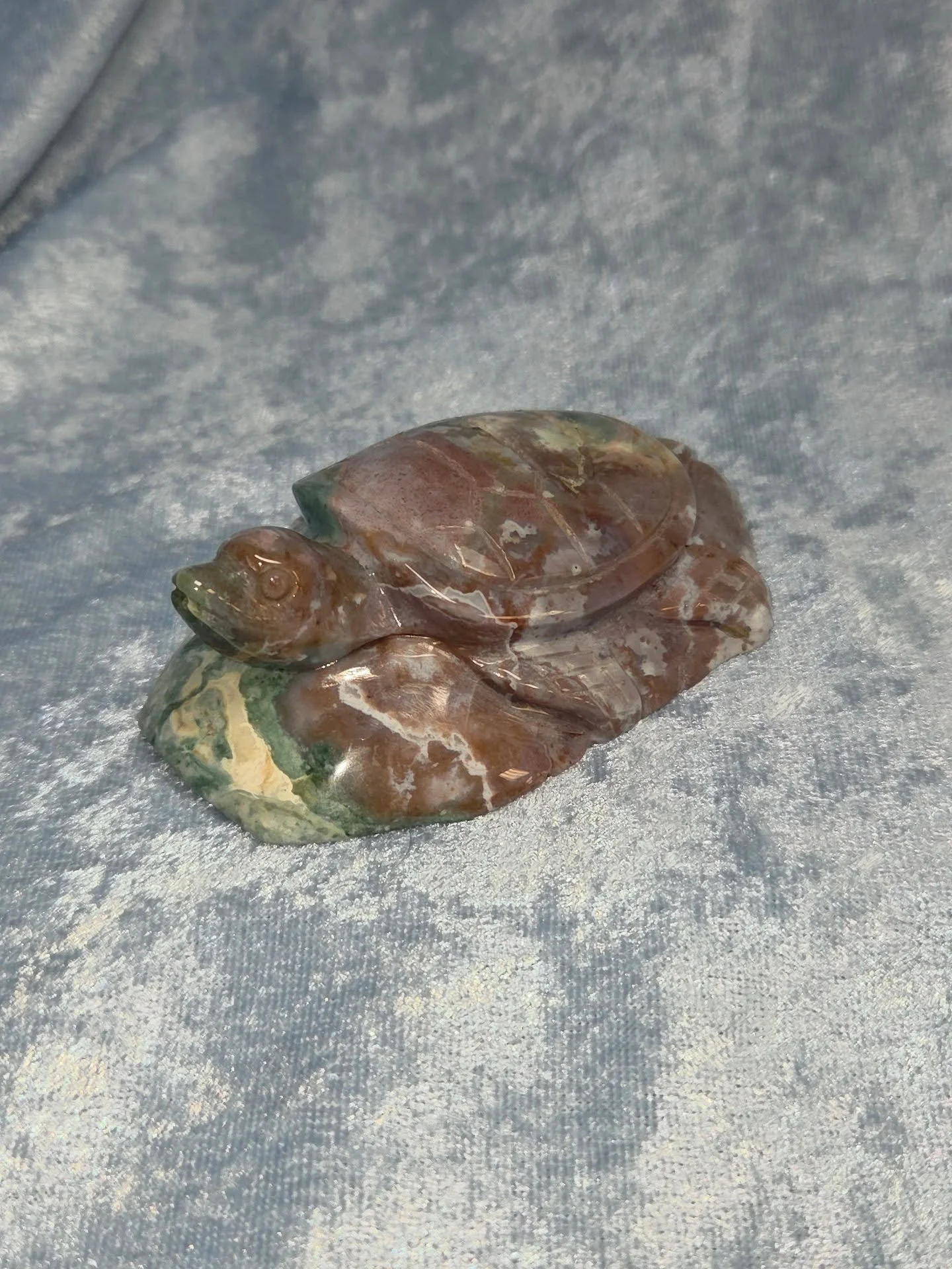 🌊𝐎𝐂𝐄𝐀𝐍 𝐉𝐀𝐒𝐏𝐄𝐑 𝐓𝐔𝐑𝐓𝐋𝐄🌊--$7️⃣5️⃣

𝗢𝗰𝗲𝗮𝗻 𝗝𝗮𝘀𝗽𝗲𝗿 is a stone of Joy and high spirits, allowing one to embrace the earth and the physical body as a temple of the Soul. 🌍 A calming, soothing stone, it can facilitate circular b