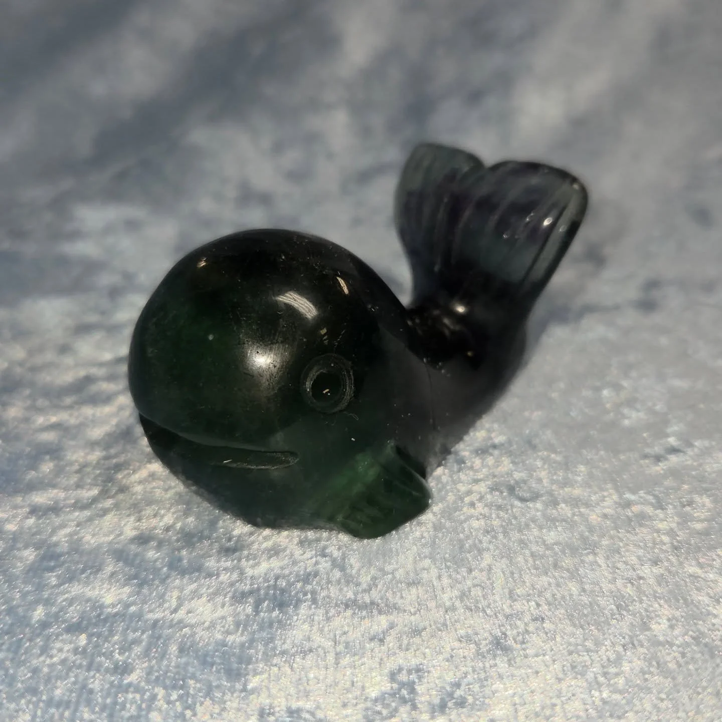 🌈𝐅𝐋𝐔𝐎𝐑𝐈𝐓𝐄 𝐖𝐇𝐀𝐋𝐄🌈--$3️⃣0️⃣

𝗙𝗹𝘂𝗼𝗿𝗶𝘁𝗲 is a great ally in clearing your energetic field of emotional debris that may be affecting your self confidence, focus or ability to absorb new information.🧠

Please visit the link in the bi