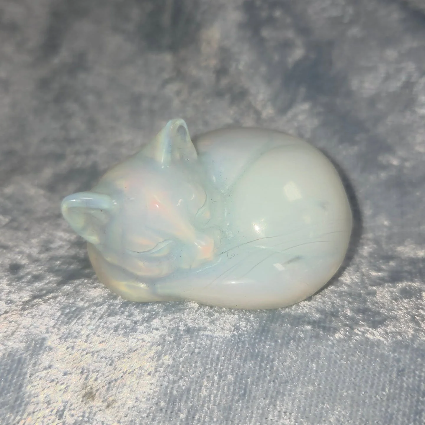 ✨️𝐎𝐏𝐀𝐋𝐈𝐓𝐄 𝐒𝐋𝐄𝐄𝐏𝐘 𝐊𝐈𝐓𝐓𝐘✨️--$3️⃣0️⃣

𝗢𝗽𝗮𝗹𝗶𝘁𝗲 is a man-made opal that can help aid meditation, self exploration, and reflection. 🧘&zwj;♀️ It can help one with depression and anxiety as it has a calming energy that soothes and s