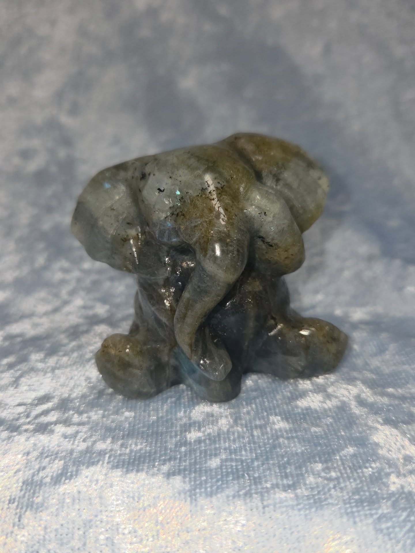 ✨𝐋𝐀𝐁𝐑𝐀𝐃𝐎𝐑𝐈𝐓𝐄 𝐄𝐋𝐄𝐏𝐇𝐀𝐍𝐓✨--$3️⃣0️⃣

𝗟𝗮𝗯𝗿𝗮𝗱𝗼𝗿𝗶𝘁𝗲 can amplify your self awareness and intuitive abilities. ✨ It's a great stone of protection during astral travel and meditation and also promotes a sense of responsibility whi