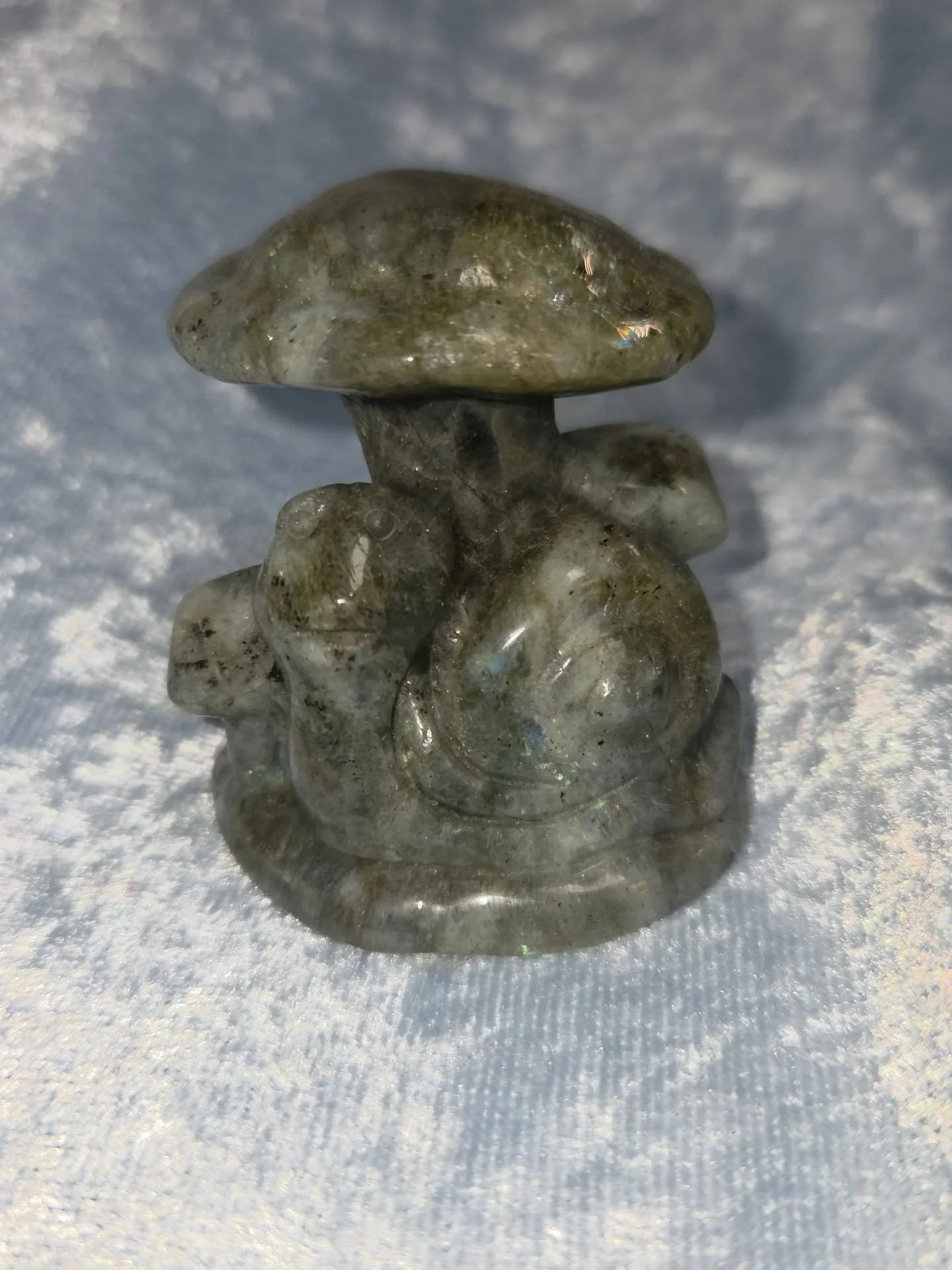 ✨𝐋𝐀𝐁𝐑𝐀𝐃𝐎𝐑𝐈𝐓𝐄 𝐒𝐍𝐀𝐈𝐋 𝐖𝐈𝐓𝐇 𝐌𝐔𝐒𝐇𝐑𝐎𝐎𝐌𝐒✨--$3️⃣0️⃣

𝗟𝗮𝗯𝗿𝗮𝗱𝗼𝗿𝗶𝘁𝗲 can amplify your self awareness and intuitive abilities. ✨ It's a great stone of protection during astral travel and meditation and also promotes a sense