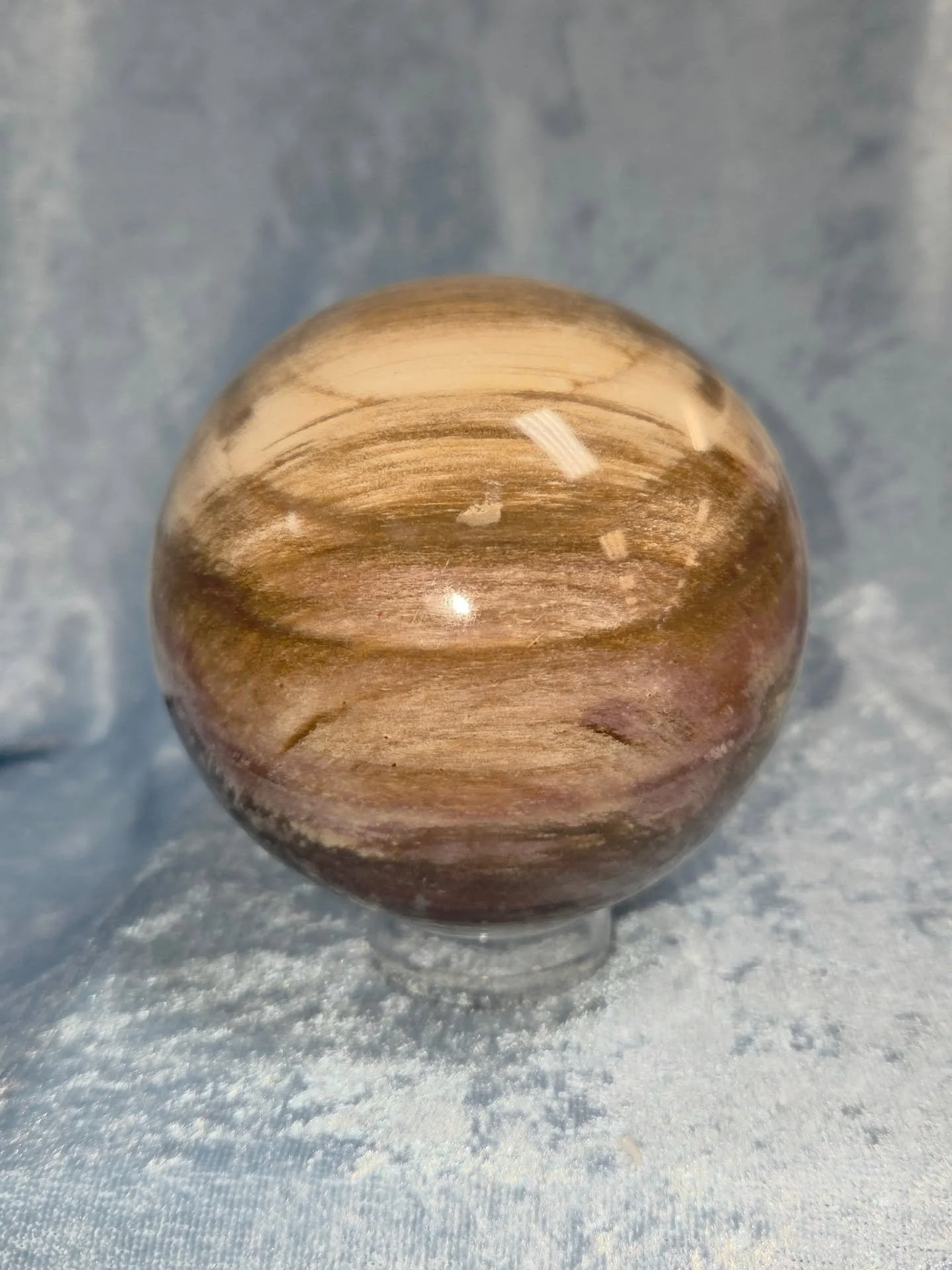 🪵𝐏𝐄𝐓𝐑𝐈𝐅𝐈𝐄𝐃 𝐖𝐎𝐎𝐃 𝐒𝐏𝐇𝐄𝐑𝐄🪵--$1️⃣5️⃣0️⃣

𝗣𝗲𝘁𝗿𝗶𝗳𝗶𝗲𝗱 𝗪𝗼𝗼𝗱 is a well rooted grounding stone as well as a very useful tool for past life recall, having a solid connection to nature and ancient wisdom. 🌳 Being a strong promo