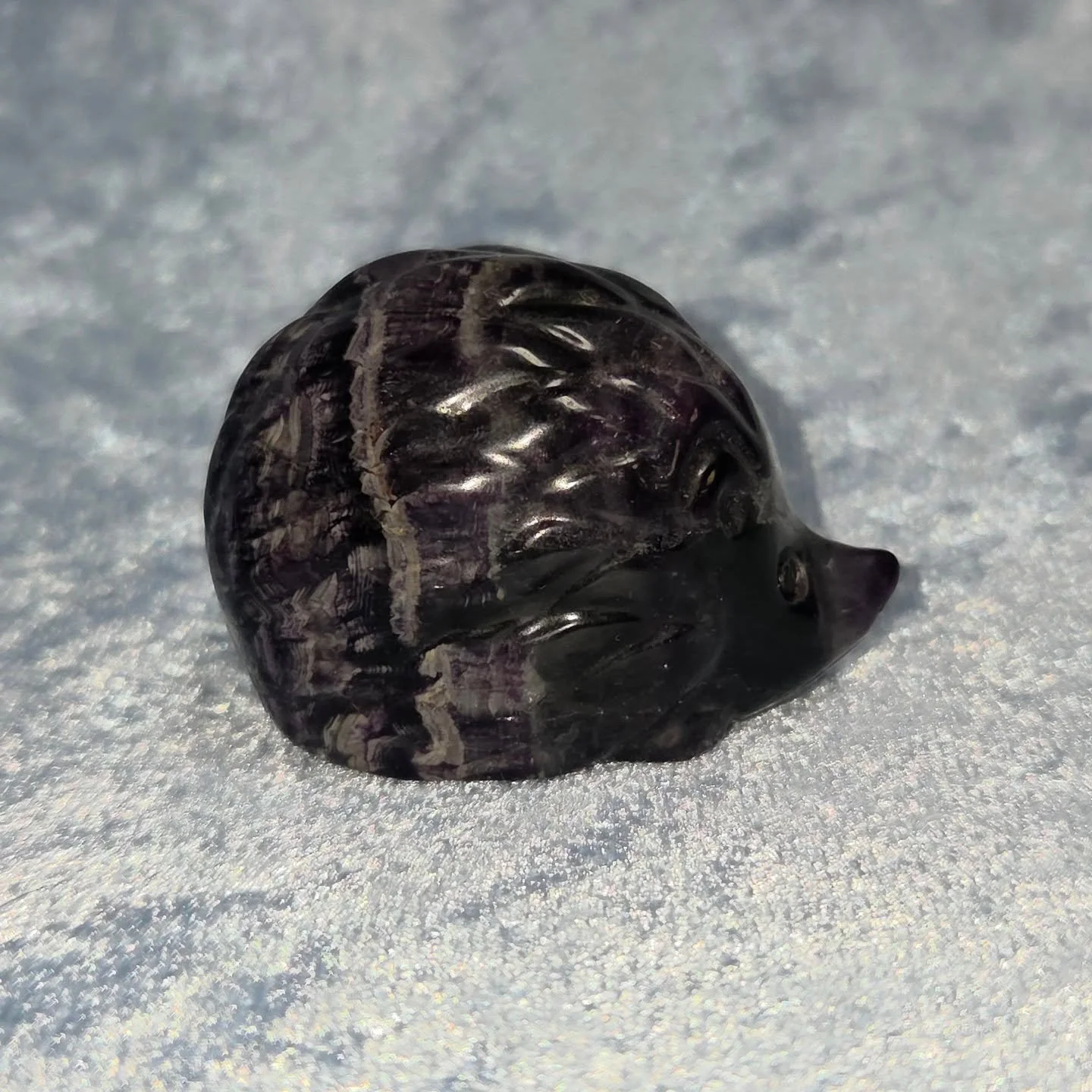 🌈𝐅𝐋𝐔𝐎𝐑𝐈𝐓𝐄 𝐇𝐄𝐃𝐆𝐄𝐇𝐎𝐆🌈--$2️⃣5️⃣

𝗙𝗹𝘂𝗼𝗿𝗶𝘁𝗲 is a great ally in clearing your energetic field of emotional debris that may be affecting your self confidence, focus or ability to absorb new information.🧠

Please visit the link in 