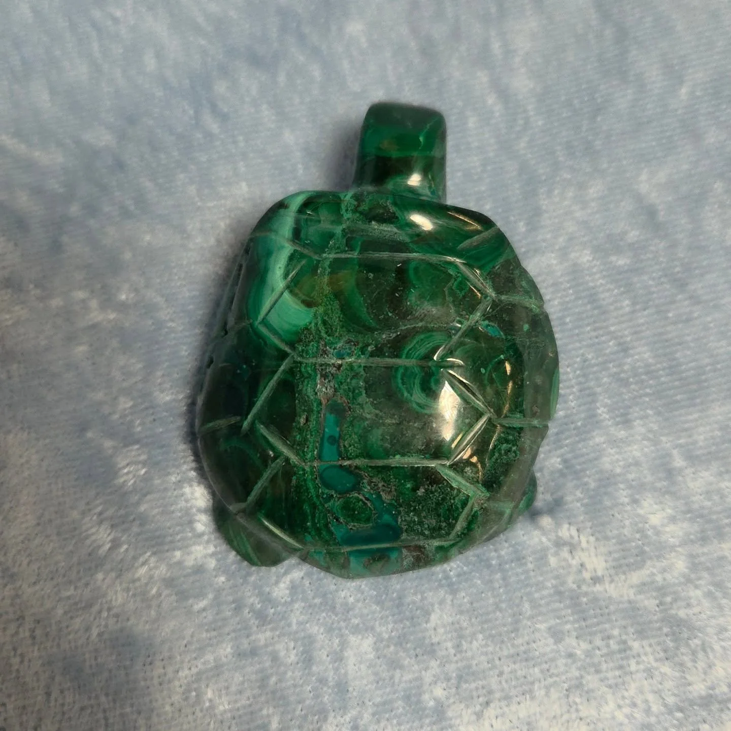 💚𝐌𝐀𝐋𝐀𝐂𝐇𝐈𝐓𝐄 𝐓𝐔𝐑𝐓𝐋𝐄💚--$4️⃣5️⃣

𝗠𝗮𝗹𝗮𝗰𝗵𝗶𝘁𝗲 is a great heart healer, promoting emotional protection from others that may want to bring you down to their level or manipulate you. 💚 It can also sharpen your psychic radar as well a