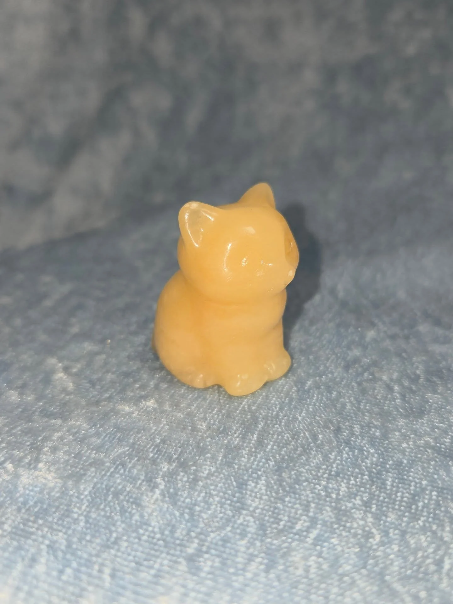 🍊𝐎𝐑𝐀𝐍𝐆𝐄 𝐂𝐀𝐋𝐂𝐈𝐓𝐄 𝐂𝐀𝐓🍊--$1️⃣0️⃣

𝗢𝗿𝗮𝗻𝗴𝗲 𝗖𝗮𝗹𝗰𝗶𝘁𝗲 is a joyful stone that can give one energy and motivation to overcome laziness and emotional stress. 😁 It can cleanse one's energy and help one to get through heavy traumas