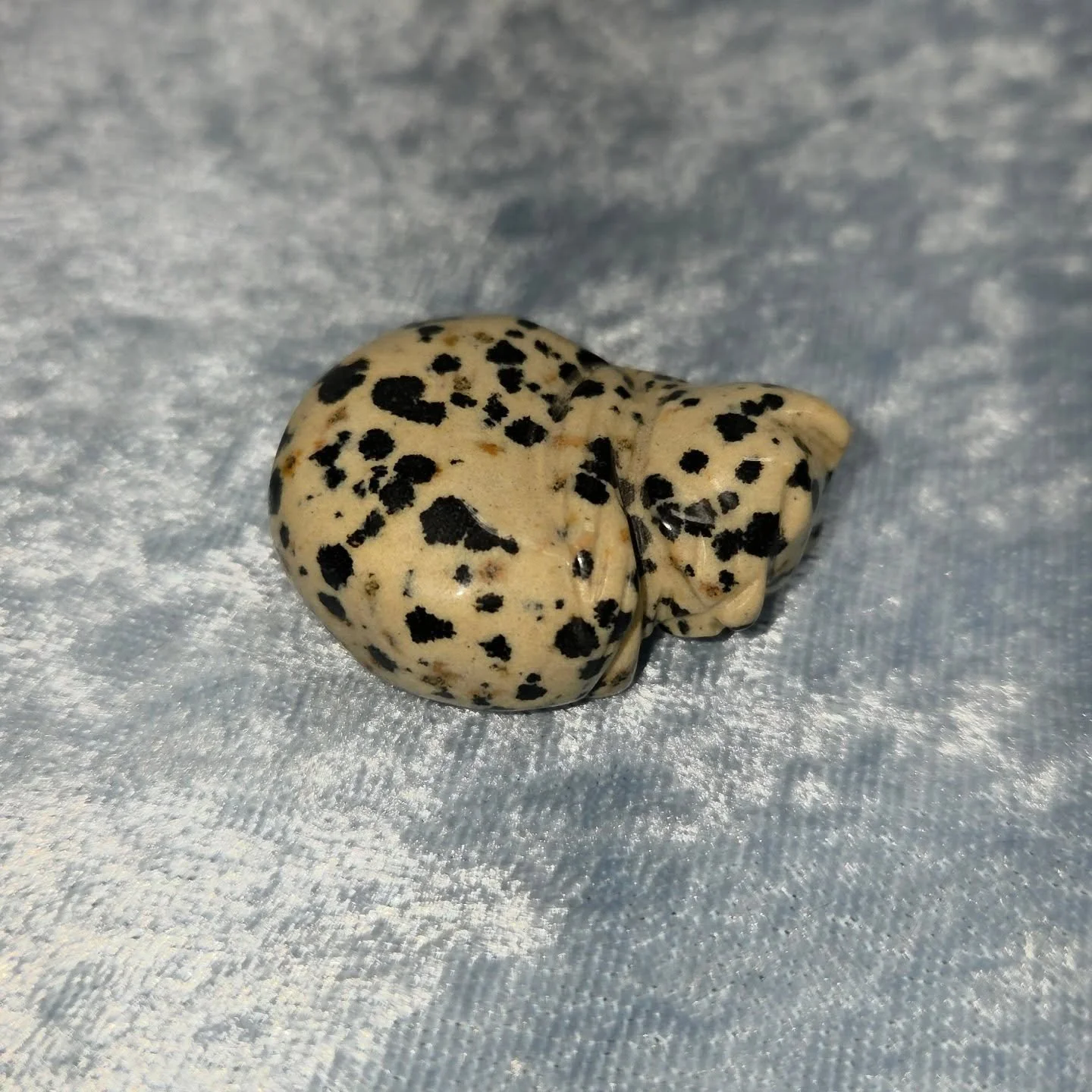 🐾𝐃𝐀𝐋𝐌𝐀𝐓𝐈𝐀𝐍 𝐒𝐋𝐄𝐄𝐏𝐘 𝐊𝐈𝐓𝐓𝐘🐾--$1️⃣5️⃣

𝗗𝗮𝗹𝗺𝗮𝘁𝗶𝗮𝗻 𝗦𝘁𝗼𝗻𝗲 (AKA Dalmatian Jasper) is a stone that can help to strengthen bonds, promote stability, and reawaken a sense of fun and humor. 🐾 This stone aids in quitting smoki