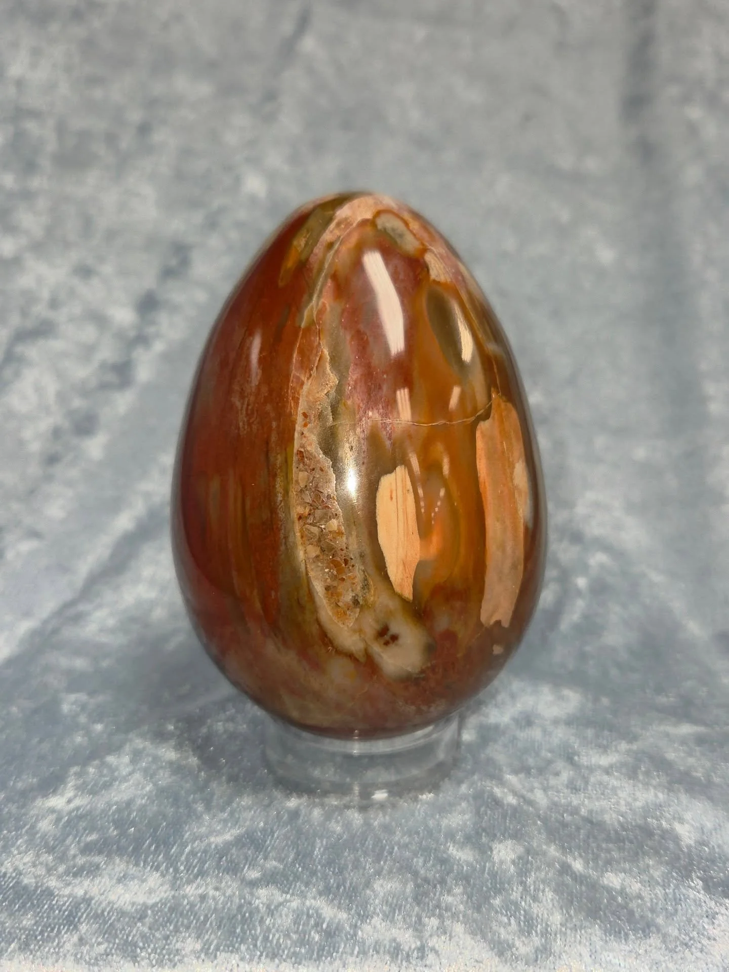 🪵𝐏𝐄𝐓𝐑𝐈𝐅𝐈𝐄𝐃 𝐖𝐎𝐎𝐃 𝐄𝐆𝐆🪵--$7️⃣5️⃣

𝗣𝗲𝘁𝗿𝗶𝗳𝗶𝗲𝗱 𝗪𝗼𝗼𝗱 is a well rooted grounding stone as well as a very useful tool for past life recall, having a solid connection to nature and ancient wisdom. 🌳 Being a strong promoter of pa