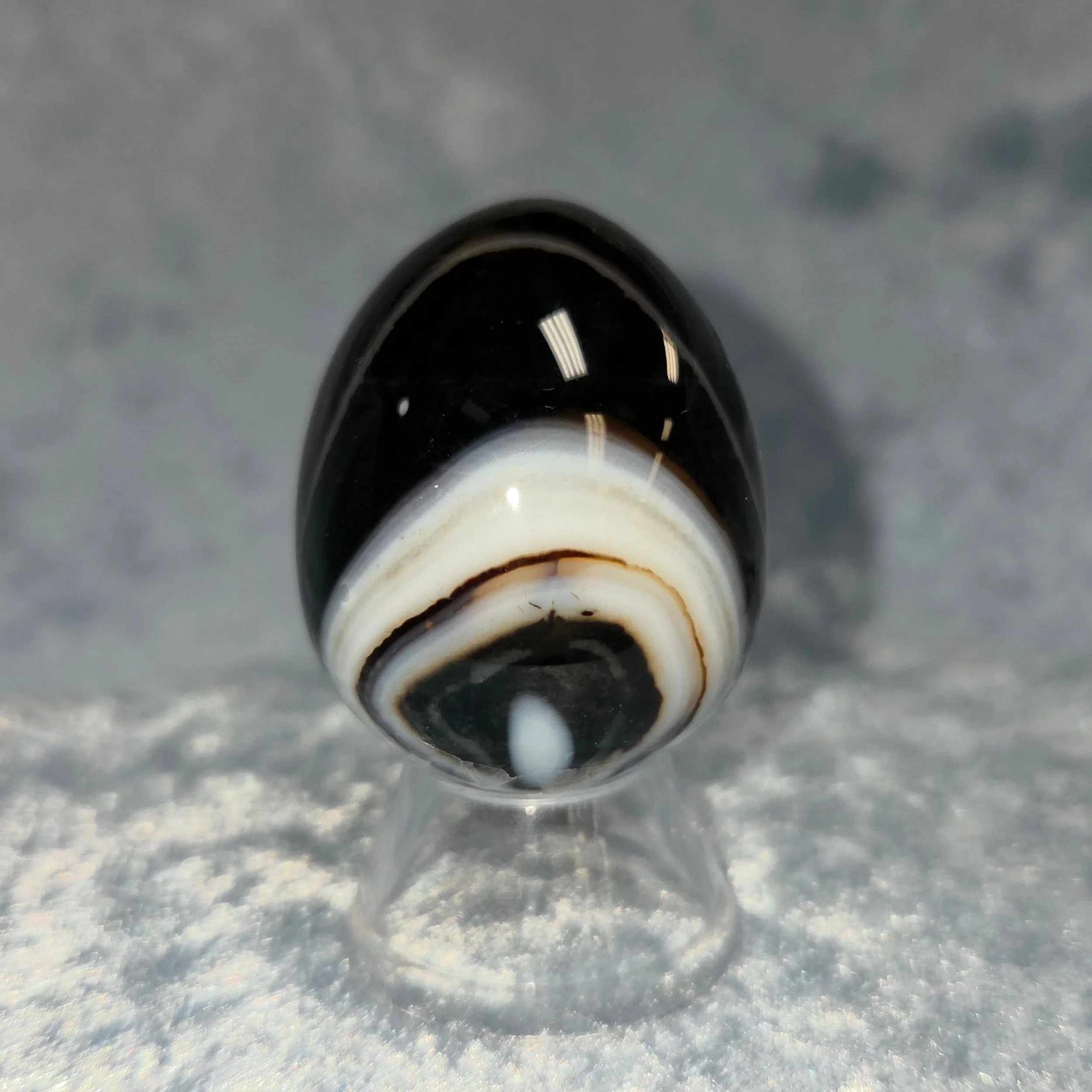 🖤𝐁𝐋𝐀𝐂𝐊 𝐒𝐀𝐑𝐃𝐎𝐍𝐘𝐗 𝐄𝐆𝐆🖤--$2️⃣0️⃣

𝗕𝗹𝗮𝗰𝗸 𝗦𝗮𝗿𝗱𝗼𝗻𝘆𝘅 is a stone of strength and protection that vibrates with happiness, optimism and confidence. 😁 This stone can assist in relieving stress and anxiety as it helps one to proc