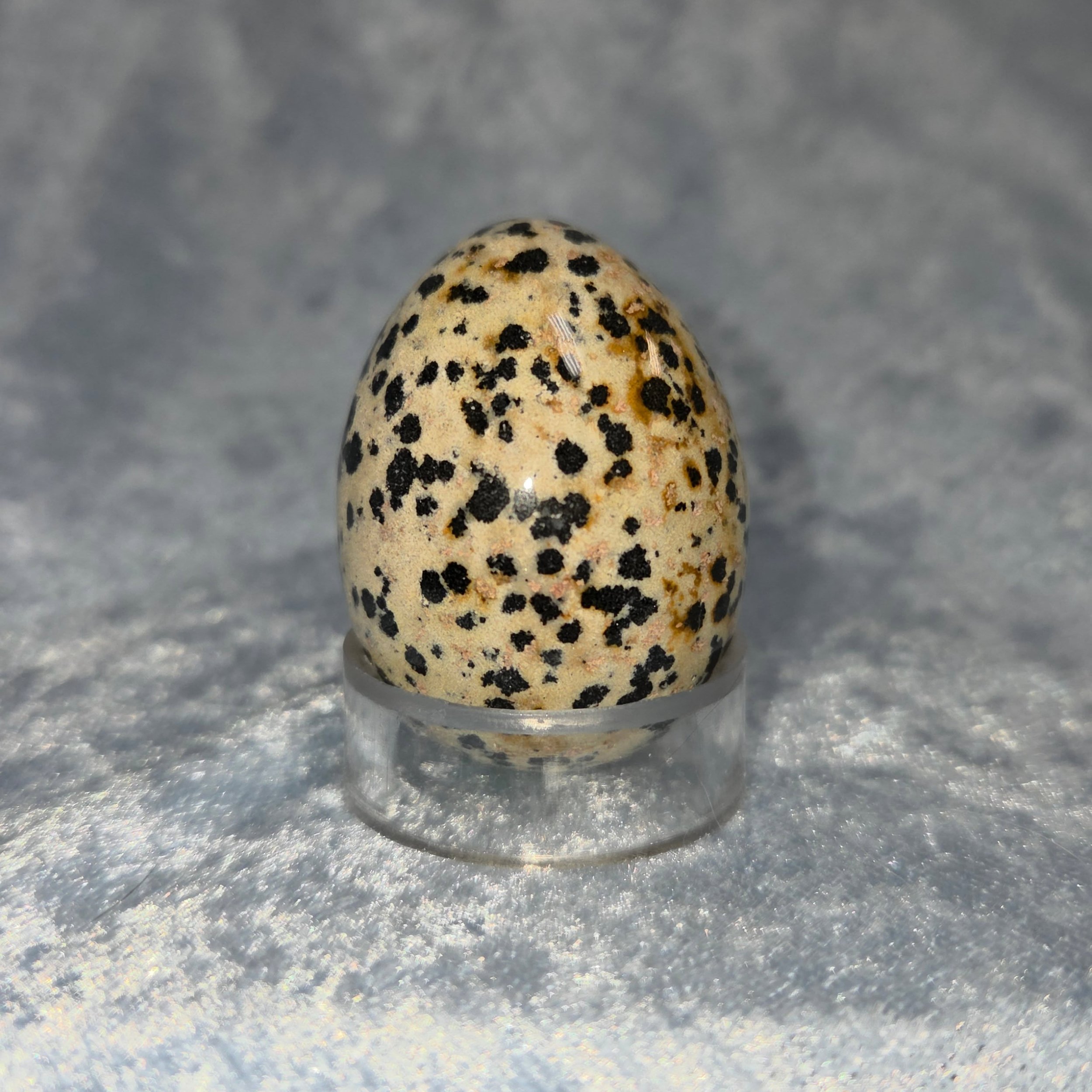🐾𝐃𝐀𝐋𝐌𝐀𝐓𝐈𝐀𝐍 𝐒𝐓𝐎𝐍𝐄 𝐄𝐆𝐆🐾--$2️⃣0️⃣

𝗗𝗮𝗹𝗺𝗮𝘁𝗶𝗮𝗻 𝗦𝘁𝗼𝗻𝗲 (AKA Dalmatian Jasper) is a stone that can help to strengthen bonds, promote stability, and reawaken a sense of fun and humor. 🐾 This stone aids in quitting smoking, as