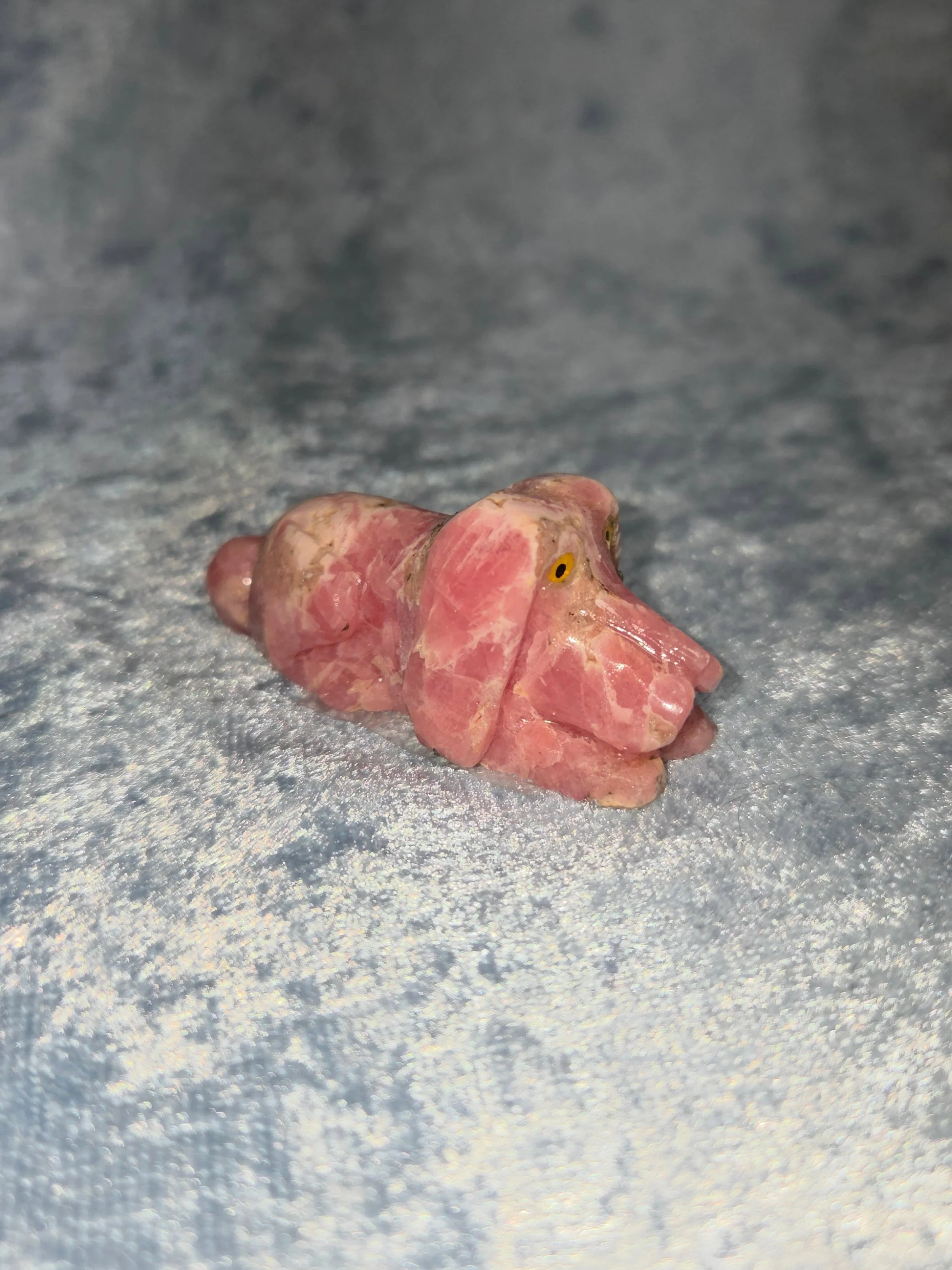 🥓𝐑𝐇𝐎𝐃𝐎𝐂𝐇𝐑𝐎𝐒𝐈𝐓𝐄 𝐃𝐎𝐆🥓--$4️⃣5️⃣

𝗥𝗵𝗼𝗱𝗼𝗰𝗵𝗿𝗼𝘀𝗶𝘁𝗲 is the best stone for healing the inner child after deep emotional trauma has taken all the joy our of life. Rhodochrosite helps one to love the most important person in their