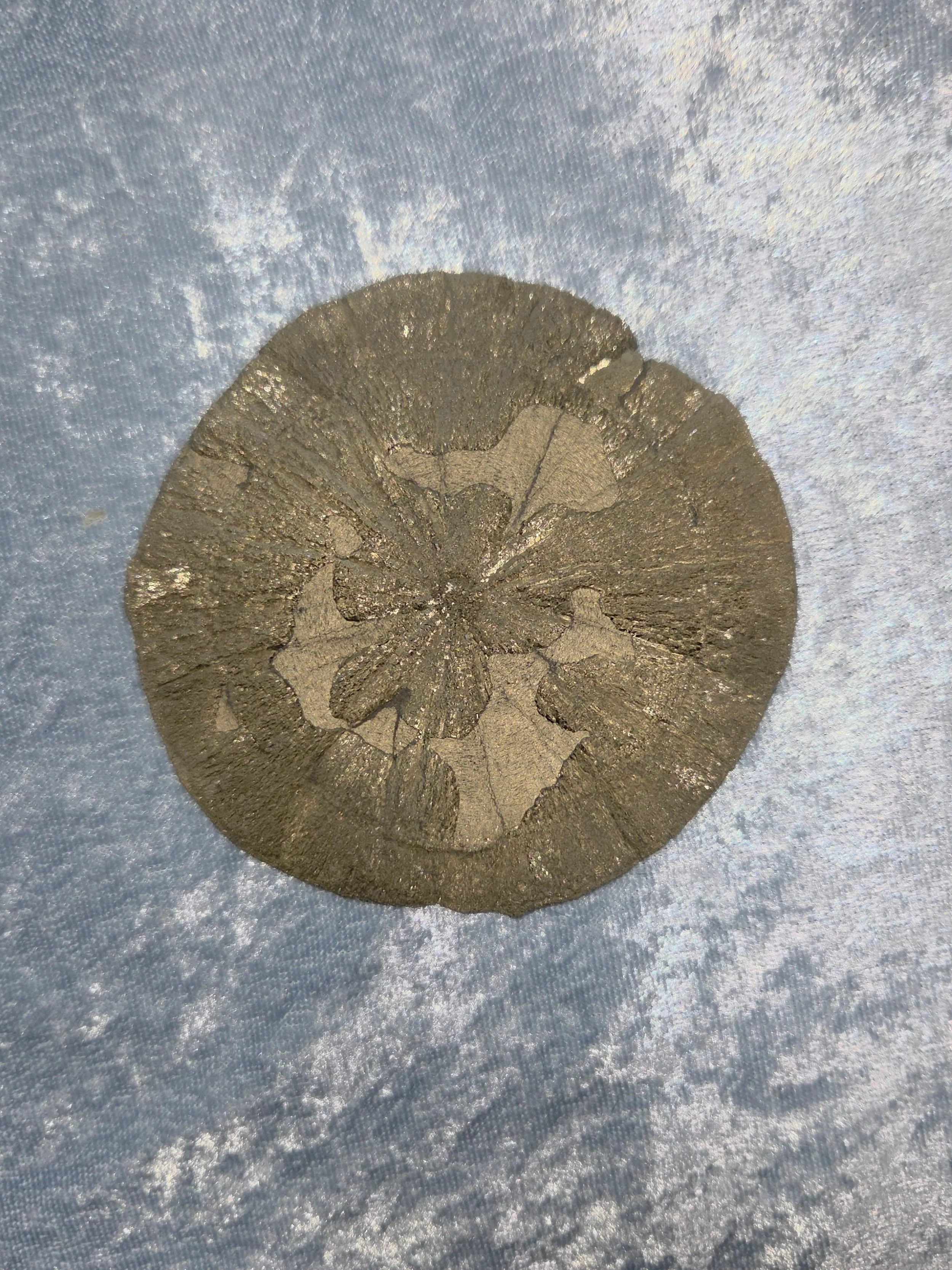 🌟𝐈𝐑𝐎𝐍 𝐏𝐘𝐑𝐈𝐓𝐄 𝐒𝐔𝐍🌟--$5️⃣0️⃣

𝗜𝗿𝗼𝗻 𝗣𝘆𝗿𝗶𝘁𝗲 (or "Fool's Gold") assists in overcoming the fears that keep us from creating abundance in our lives. ⭐ By promoting creativity, iron pyrite can help us to be more confident a
