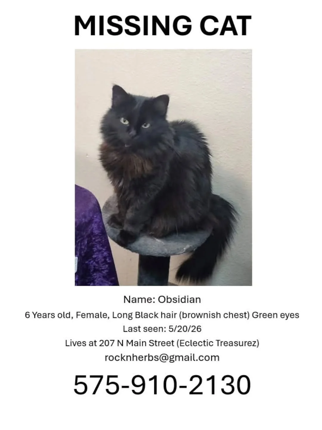MISSING!
Obsidian has gone missing. Please contact us if you have any information.
