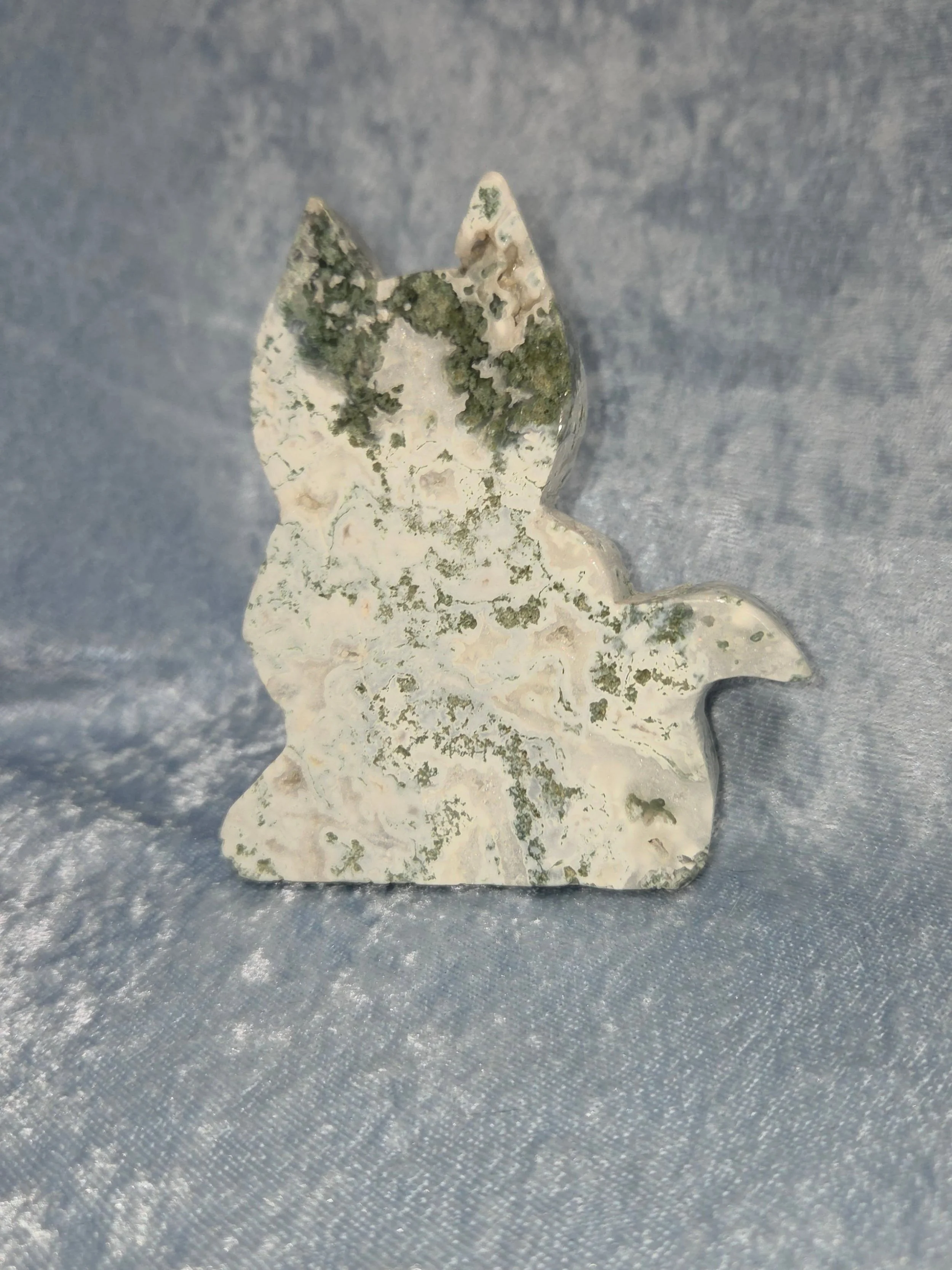 🌳𝐓𝐑𝐄𝐄 𝐀𝐆𝐀𝐓𝐄 𝐂𝐀𝐓🌳--$3️⃣5️⃣

𝗧𝗿𝗲𝗲 𝗔𝗴𝗮𝘁𝗲 is a stone that can help with one's self esteem and self confidence. 👍 It is a stone of perseverance, fortitude and protection. 🌳

Please visit the link in the bio or message me for payme