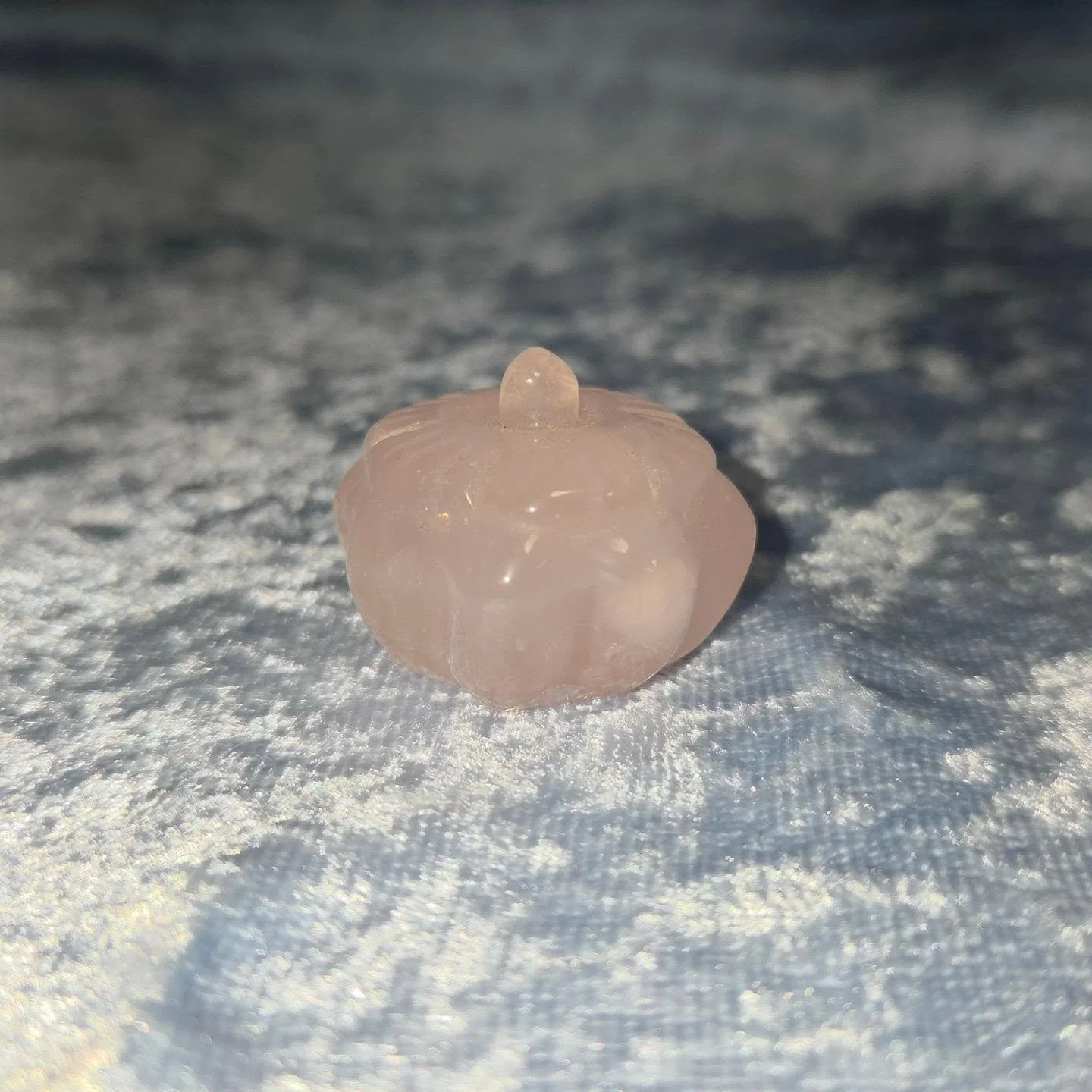 🌹𝐑𝐎𝐒𝐄 𝐐𝐔𝐀𝐑𝐓𝐙 𝐏𝐔𝐌𝐏𝐊𝐈𝐍🌹--$1️⃣5️⃣

𝗥𝗼𝘀𝗲 𝗤𝘂𝗮𝗿𝘁𝘇 is a stone of unconditional, universal Love, allowing one to love themselves, the people around them and the Universe we call home. 💕 Connecting with Rose Quartz enables one to