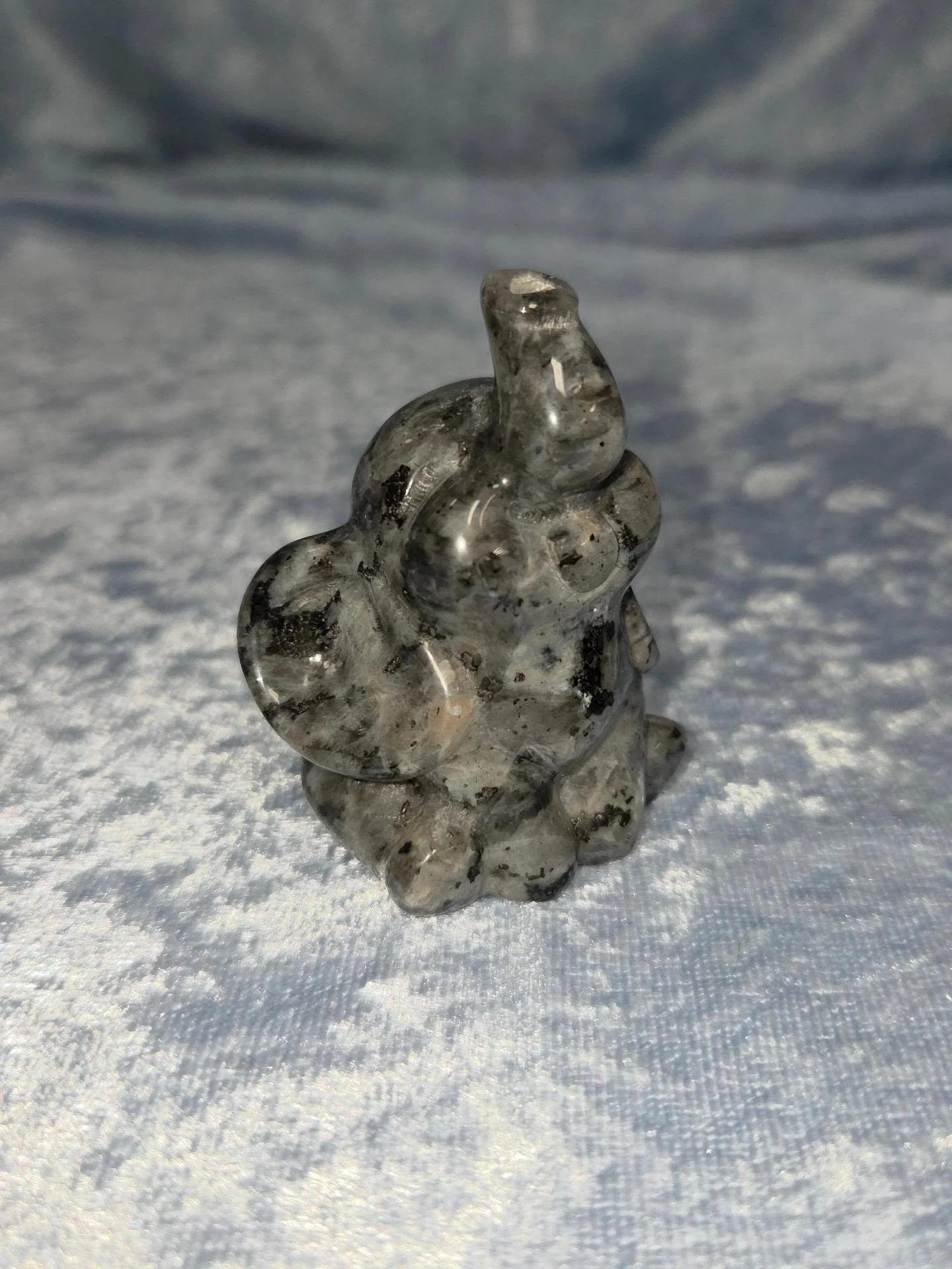 ✨𝐋𝐀𝐑𝐕𝐈𝐊𝐈𝐓𝐄 𝐄𝐋𝐄𝐏𝐇𝐀𝐍𝐓✨--$3️⃣0️⃣

Larvikite (AKA Norwegian Moonstone/Black Labradorite) can be used as a protective grounding stone while also stimulating psychic abilities.🔮 Larvikite grounds you during astral travel and can repel neg