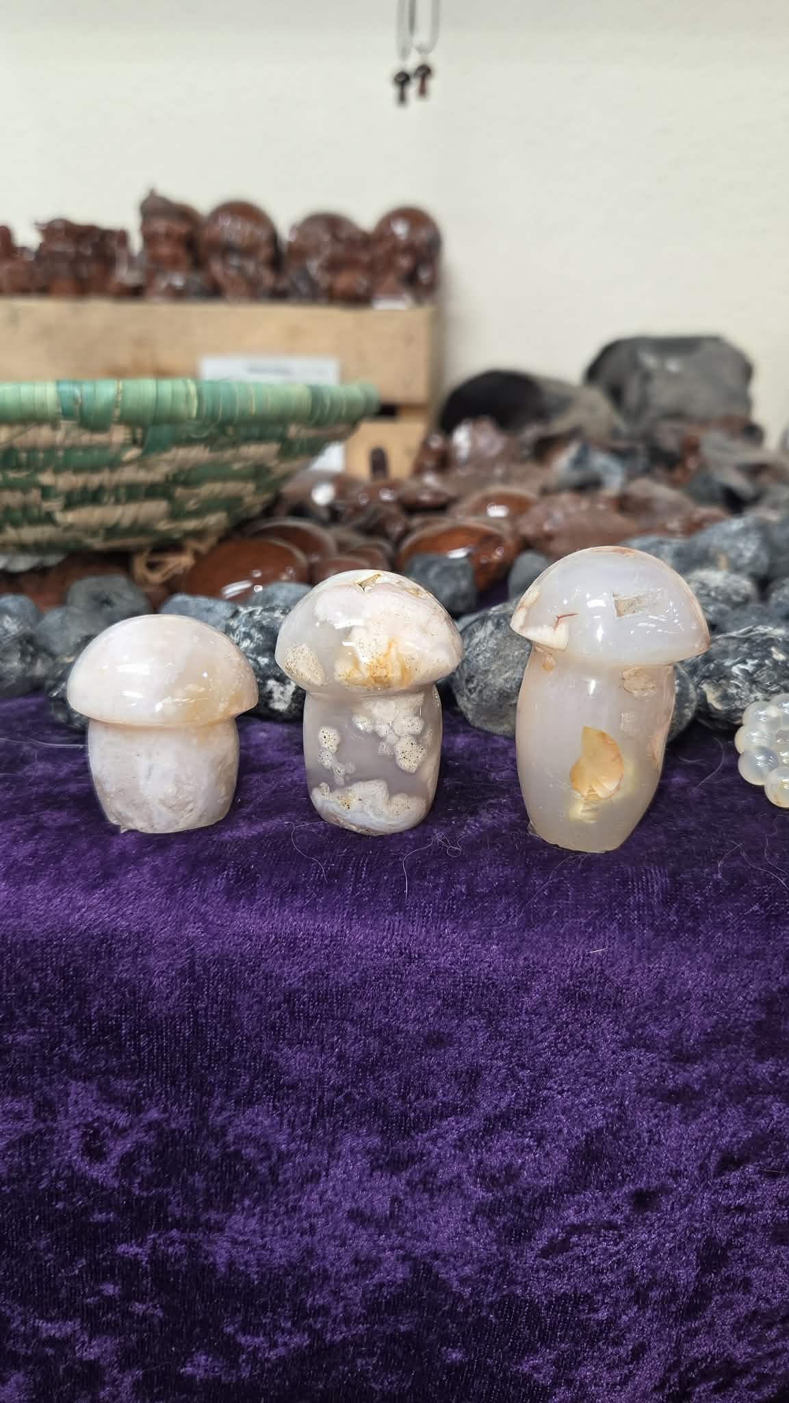 Flower agate mushrooms.jpg