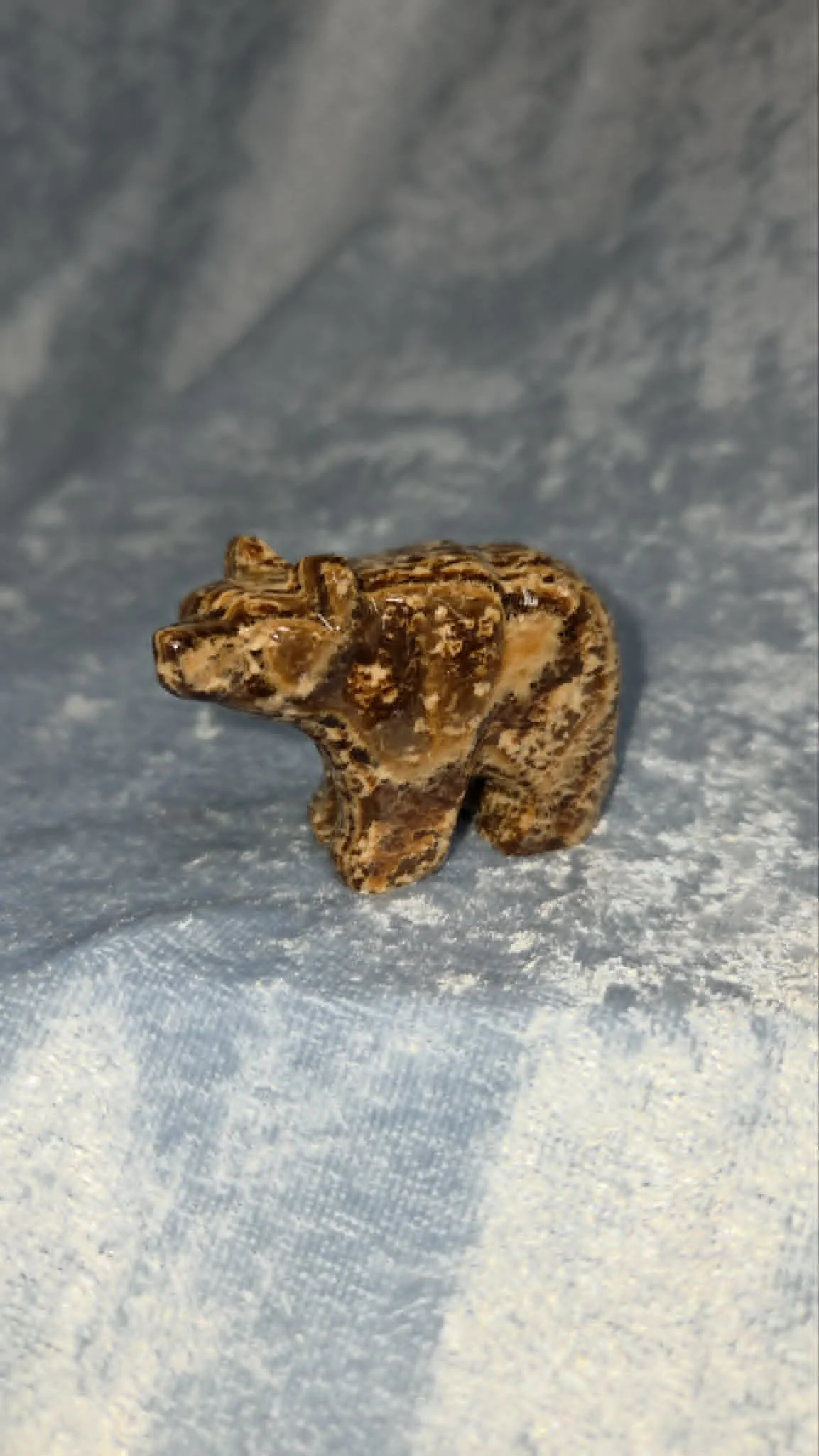 Brown Aragonite Bear