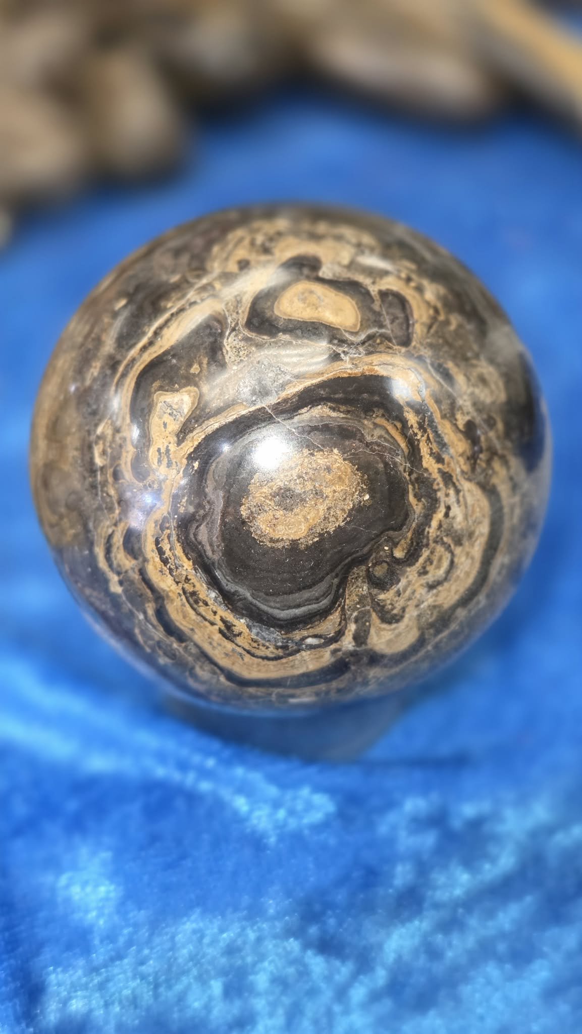 Stromatolite