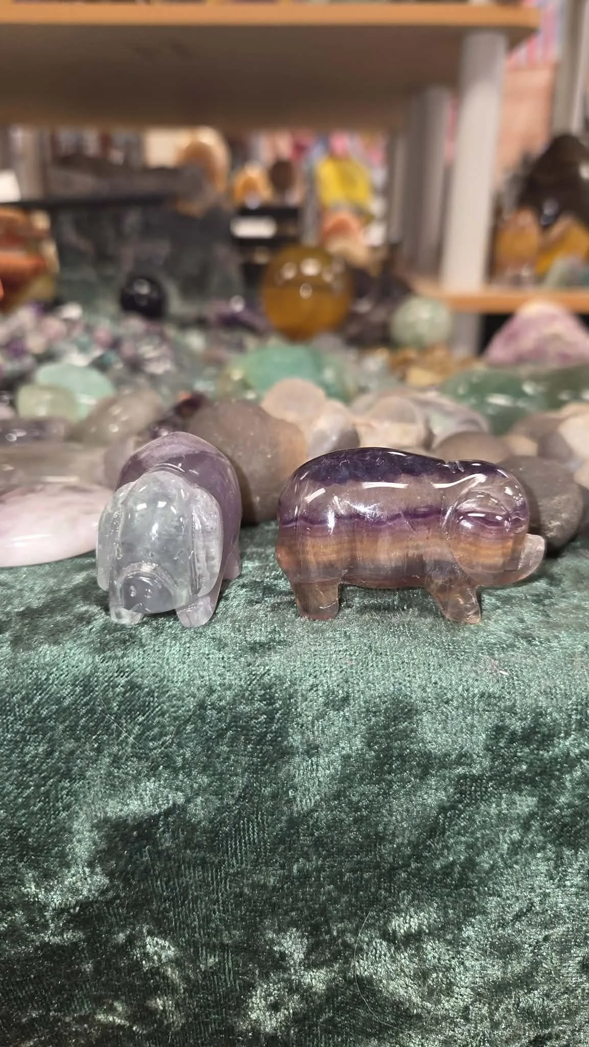 fluorite pig 30.jpg