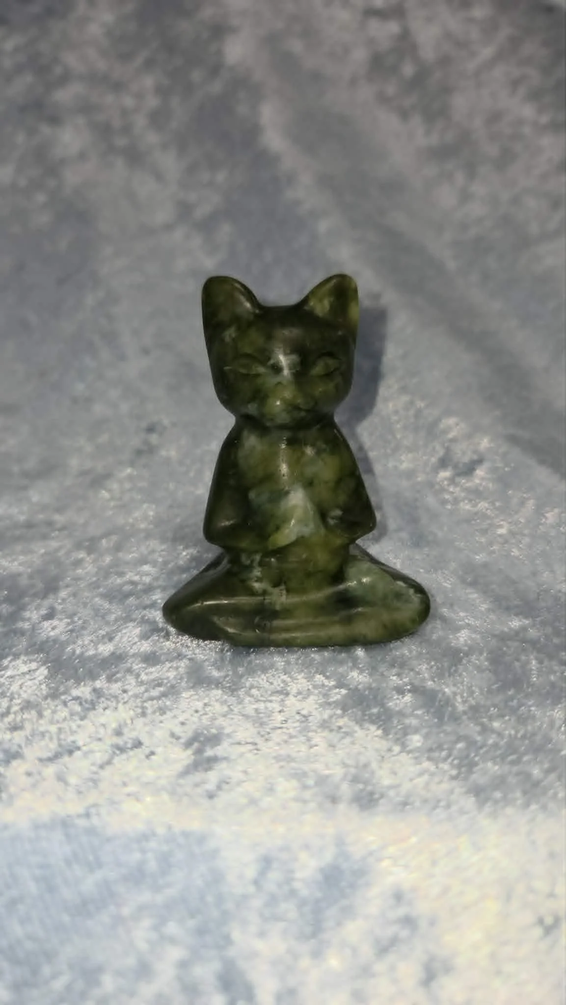 Serpentine Meditating Cat