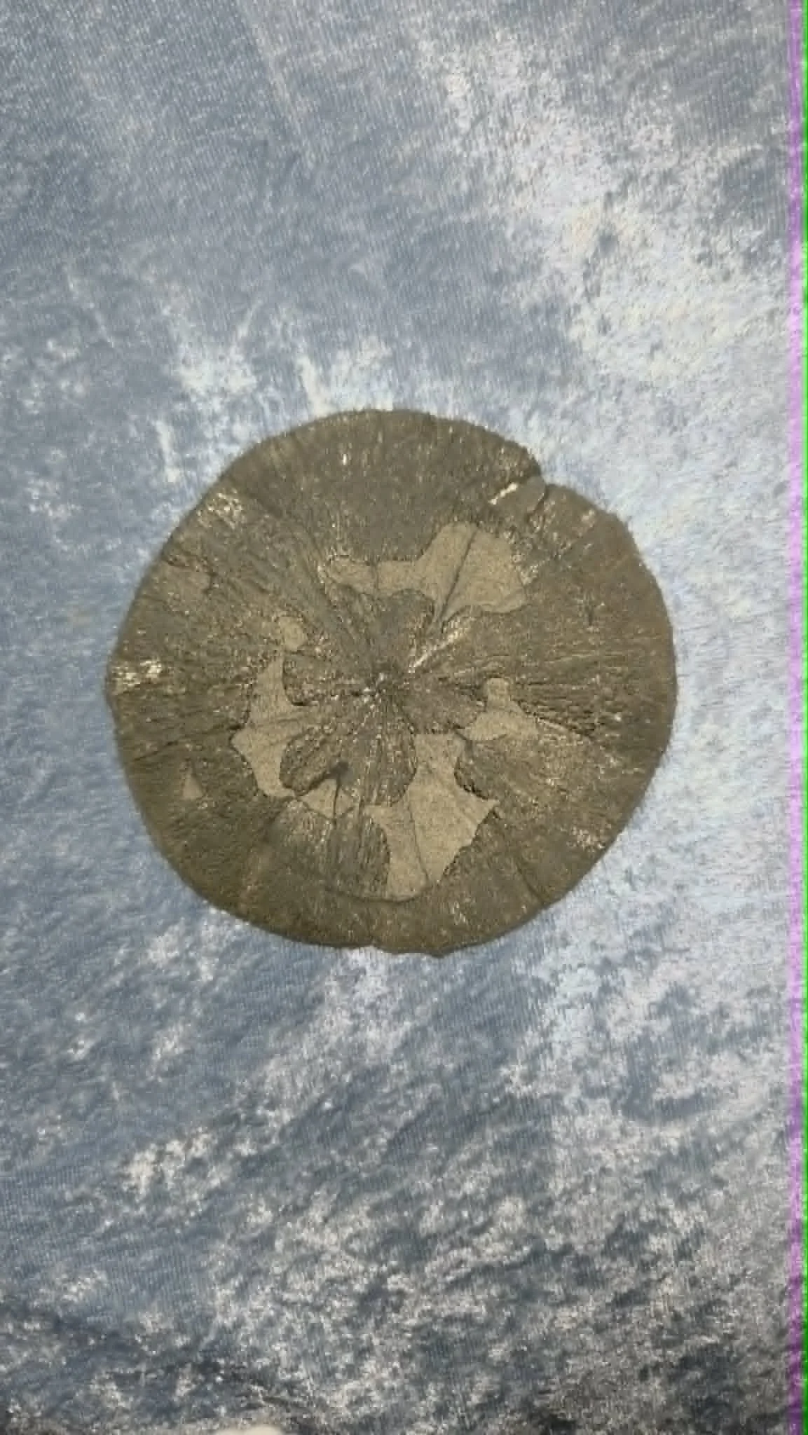 c1a09da9-ce95-4786-b20c-408625843ba9.jpg