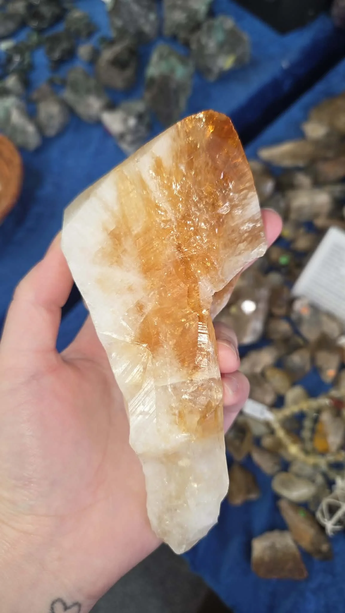 Citine HT Point 60.jpg