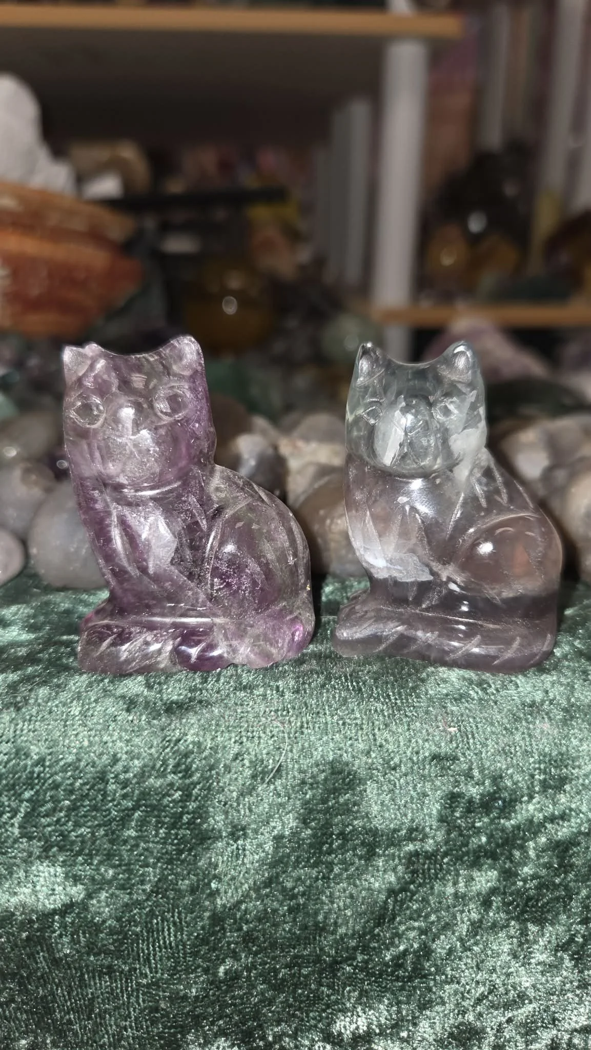 fluorite cat 30.jpg