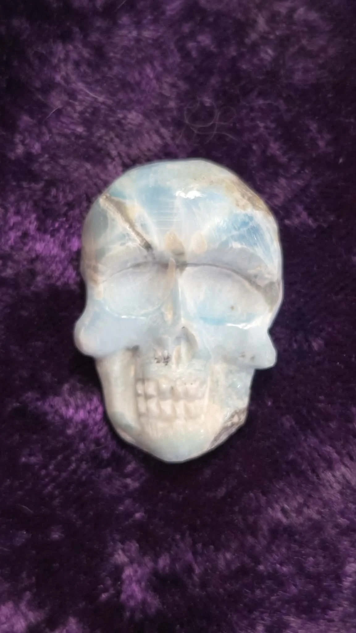 skull 40.jpg
