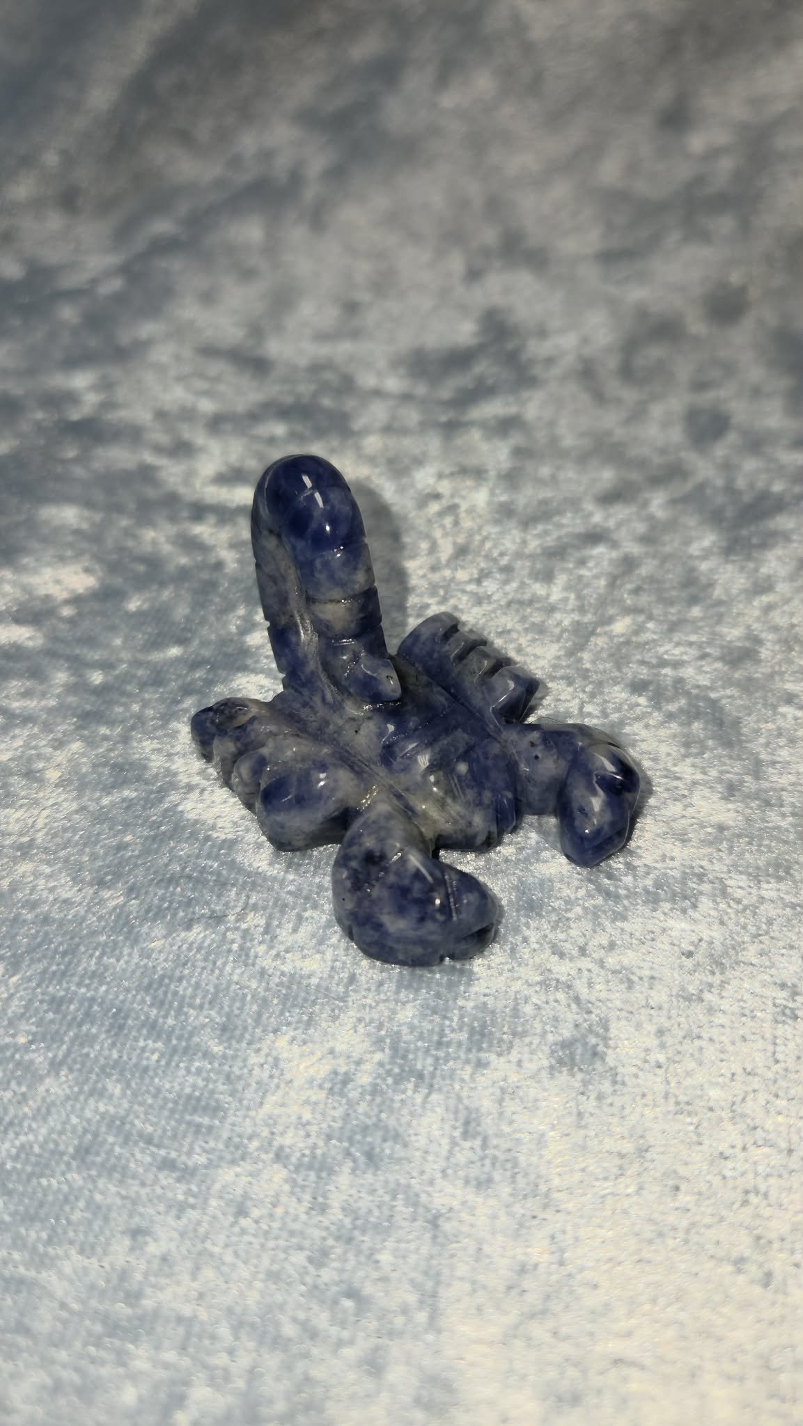 Sodalite Scorpion