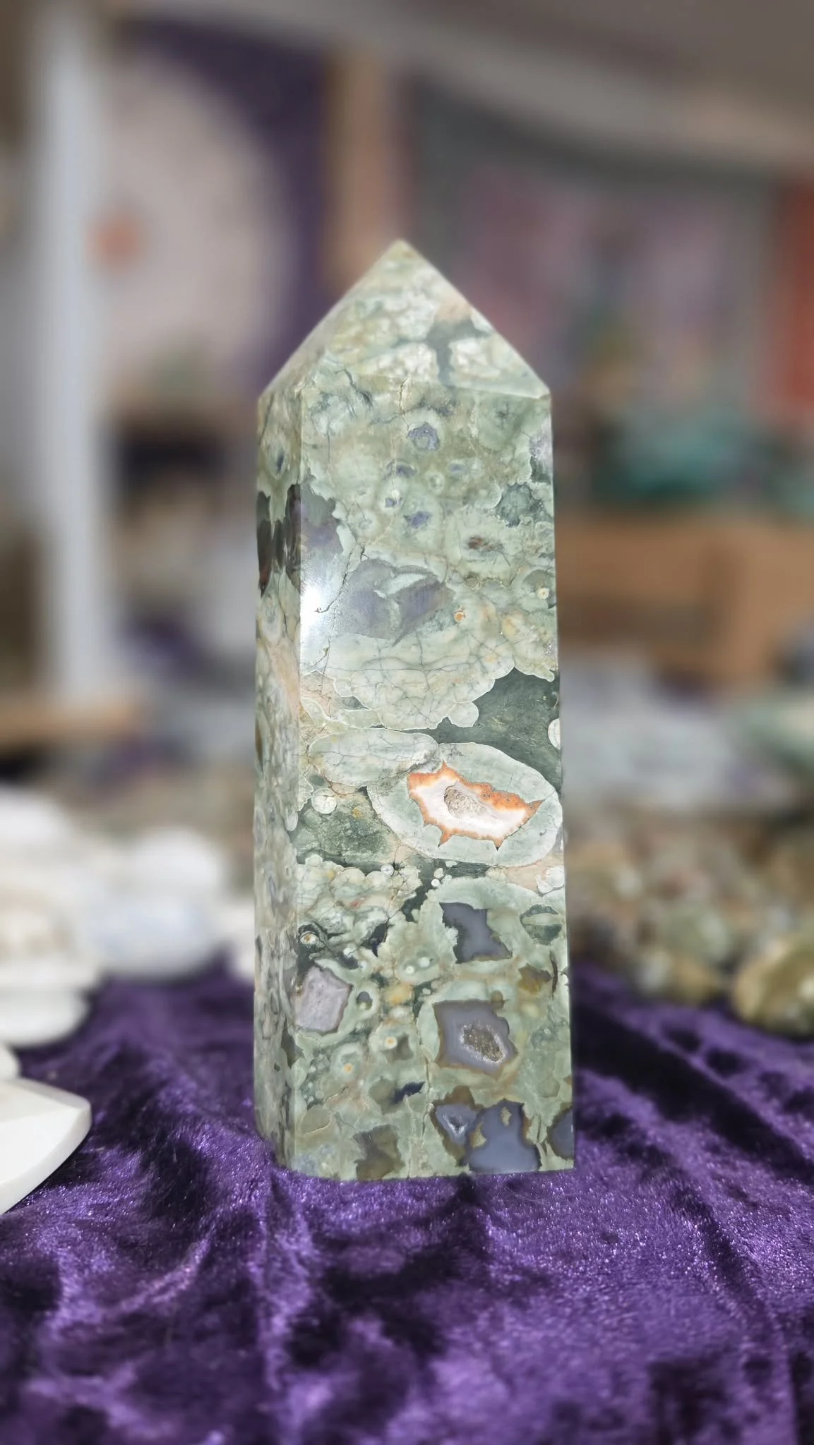 Rainforest Jasper