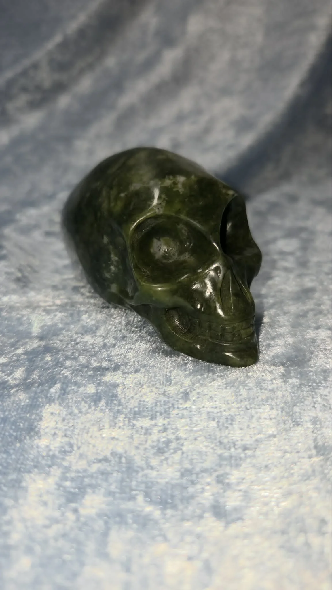 Serpentine Alien Skull