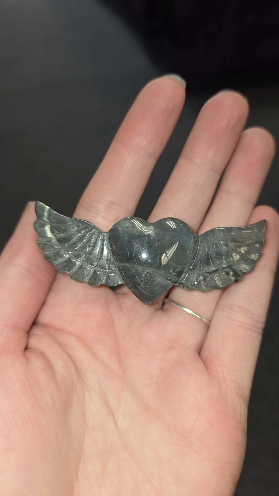 heart with wings.jpg