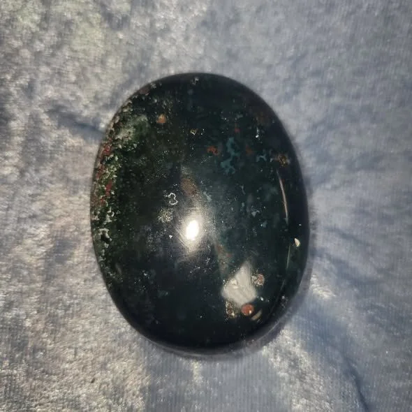 Bloodstone palm 20.jpg