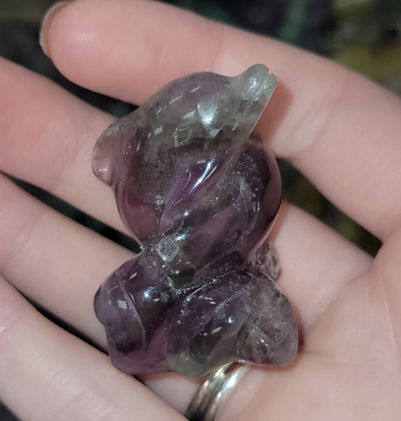 FLuorite dolphins 30.jpg