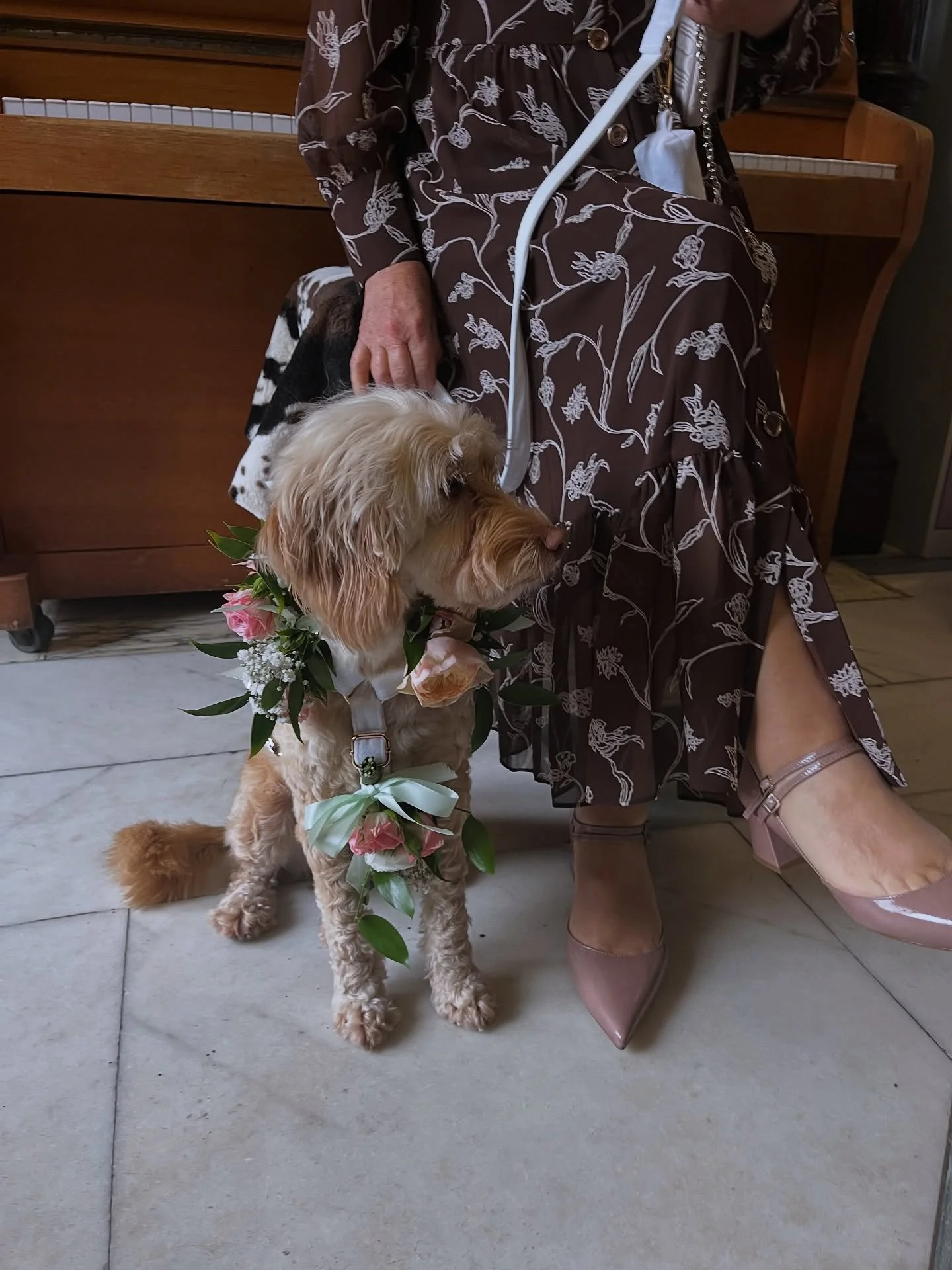 There was a wedding here today. The first in the building! Hopefully it will be the first of many. So lovely to meet @the_gentleman_celebrant Douglas too. Doesn’t Connie the flower-dug look just beautiful? Drop us an email if you’re inter