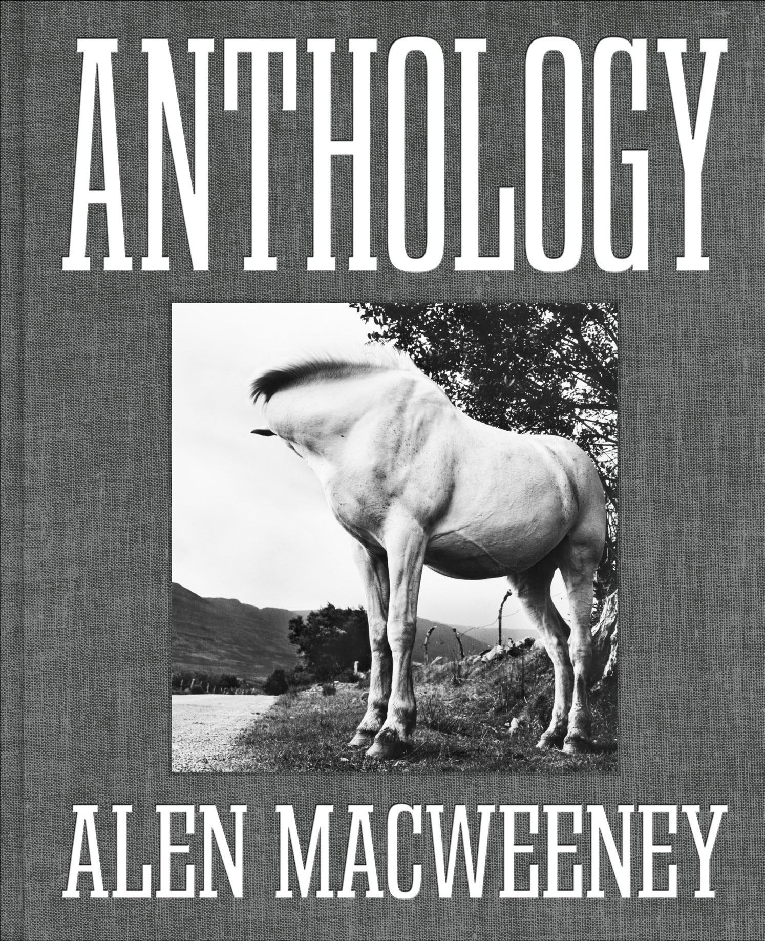 ANTHOLOGY.jpg