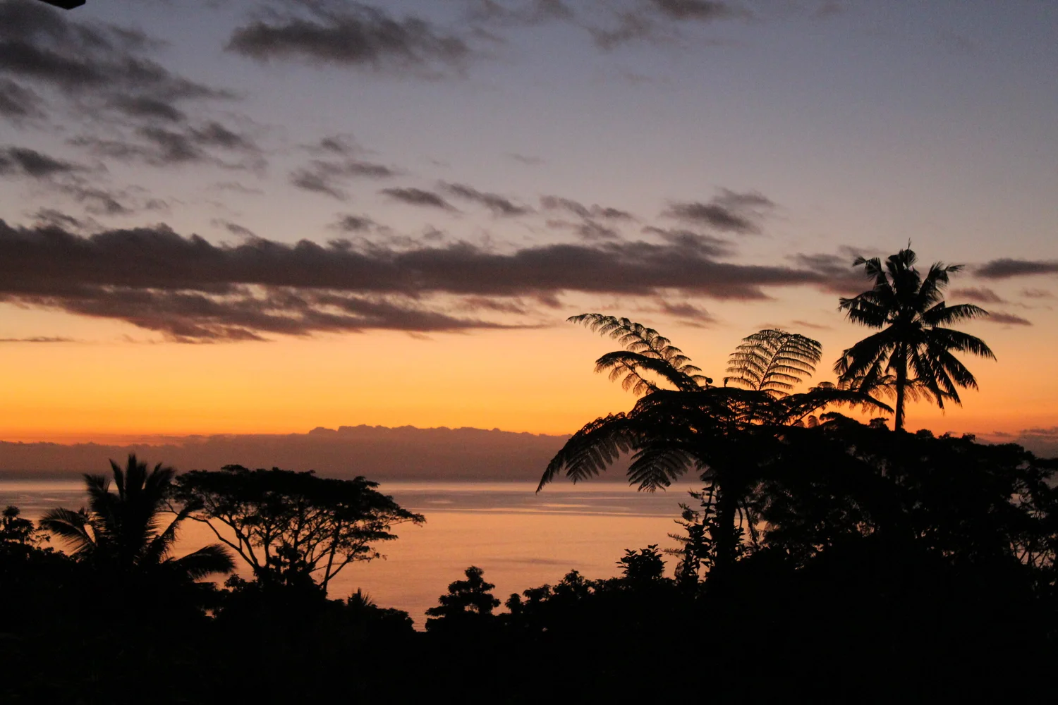 Property for Sale Fiji The Island House for Sale Home for Sale Fiji