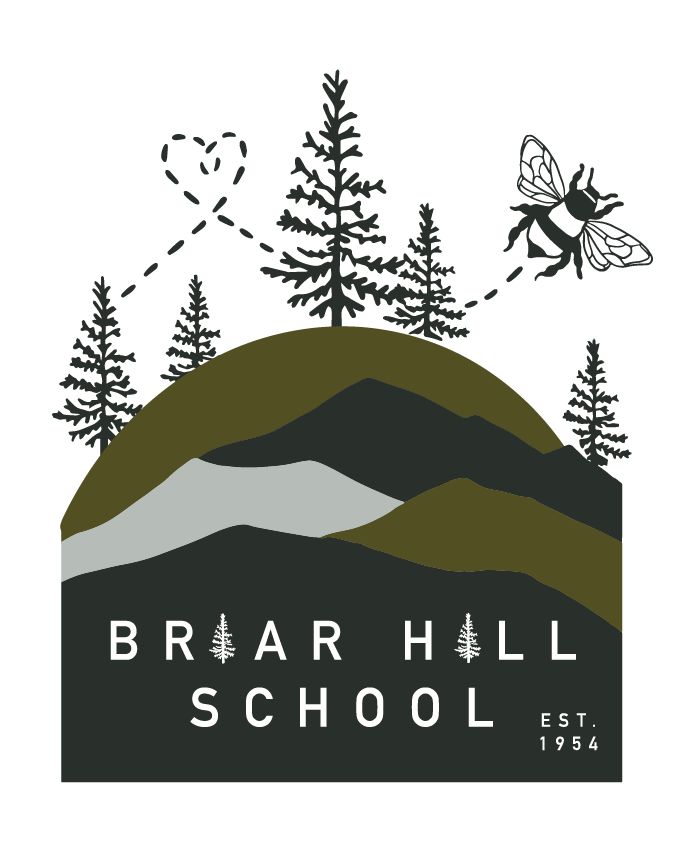 Briar Hill Playground